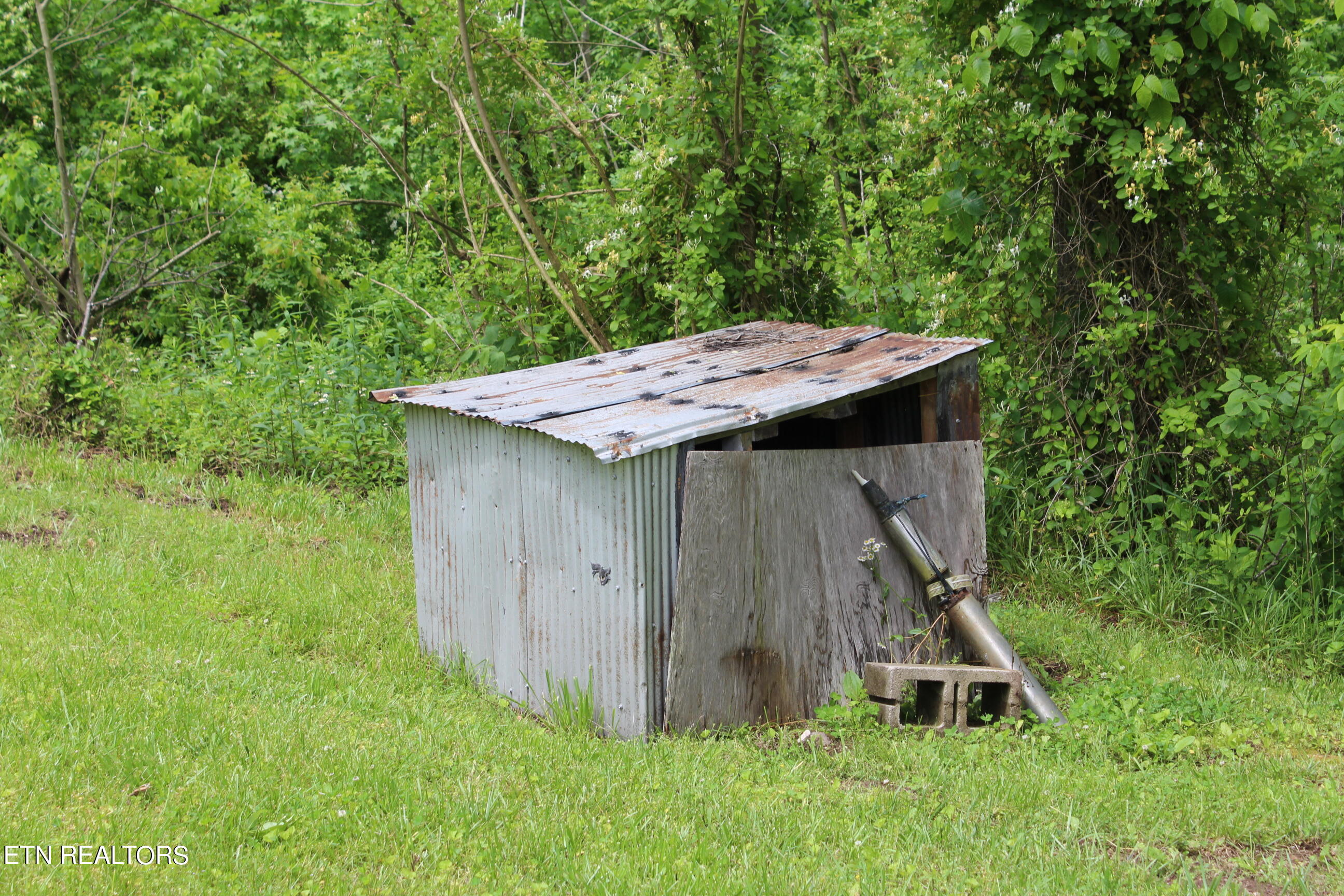 3920 Upper Crab Road Jamestown, TN 38556 - Photo 8 of 49 IMG_5702