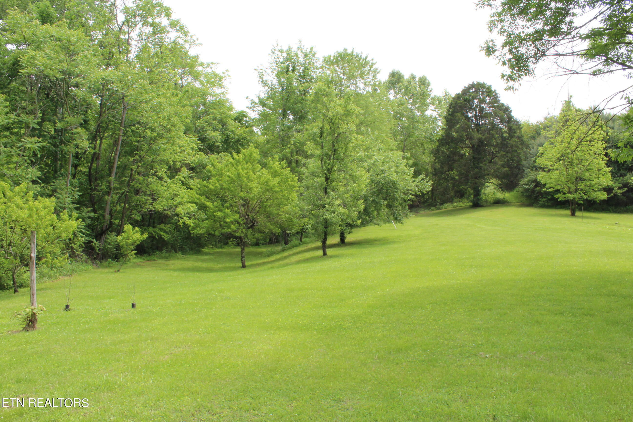 3920 Upper Crab Road Jamestown, TN 38556 - Photo 10 of 49 IMG_5704