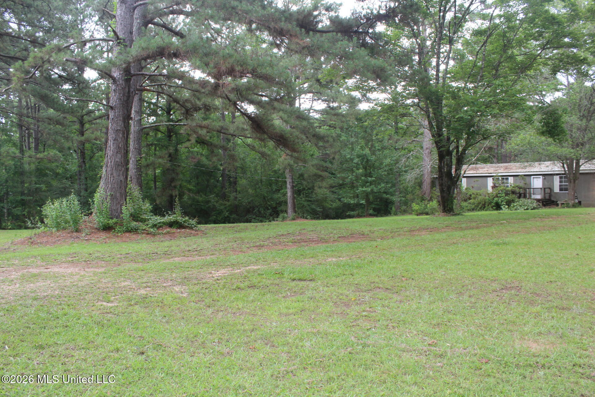 429 River Rd Drive Southeast Bogue Chitto, MS 39629 - Photo 3 of 38 IMG_9737