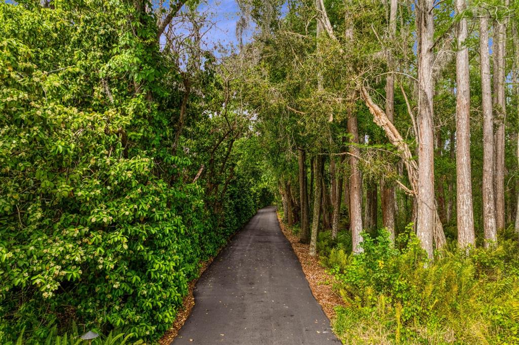 8817 Roberts Road Odessa, FL 33556 - Photo 92 of 100