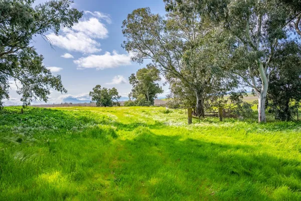 $2,495,000 | 0 County Road 48, Willows, CA 95988