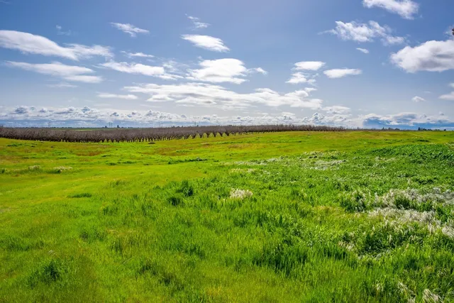 a view of an outdoor space and yard