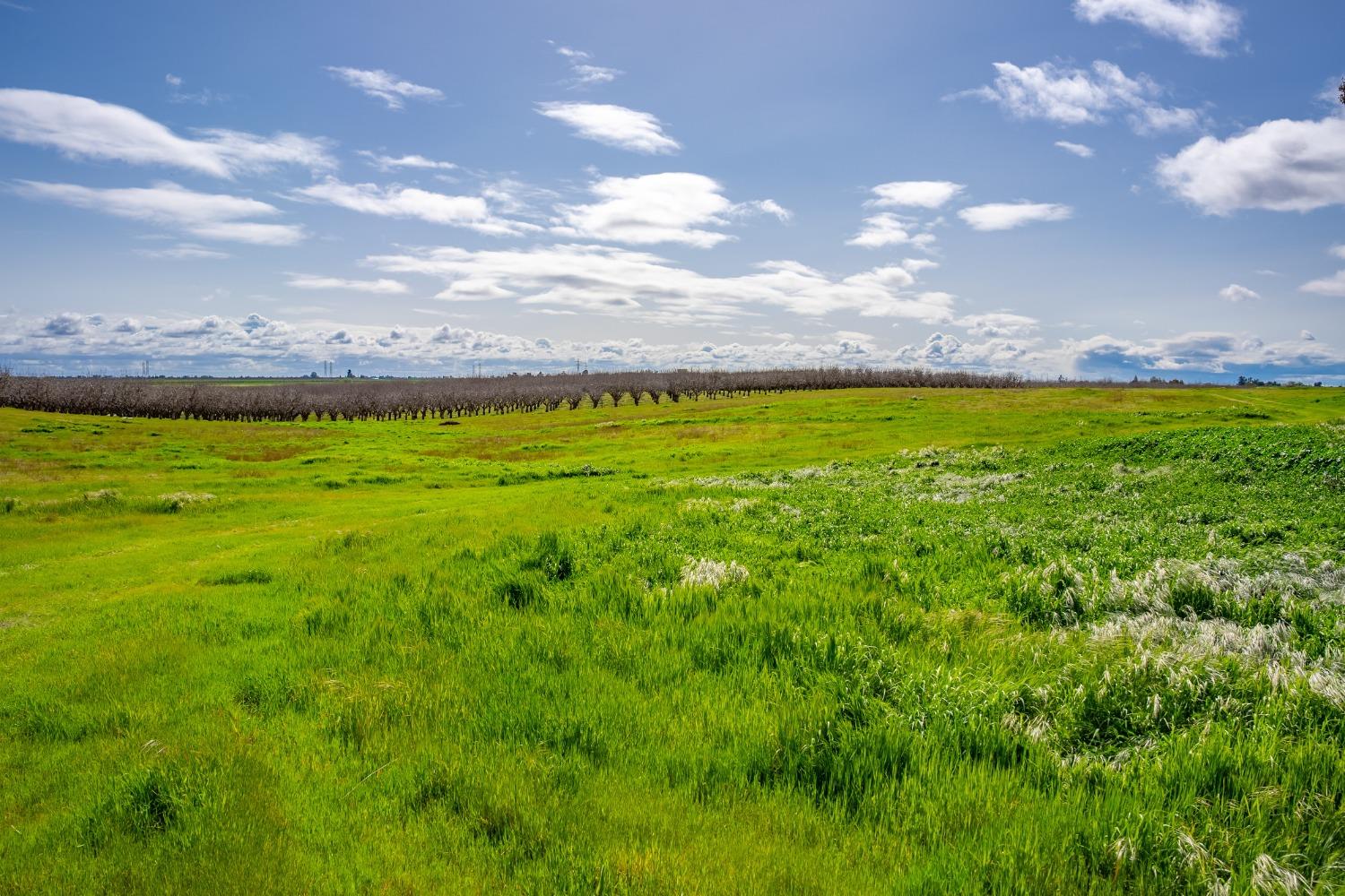 0 County Road 48 Willows, CA 95988 - Photo 22 of 53 a view of an outdoor space and yard