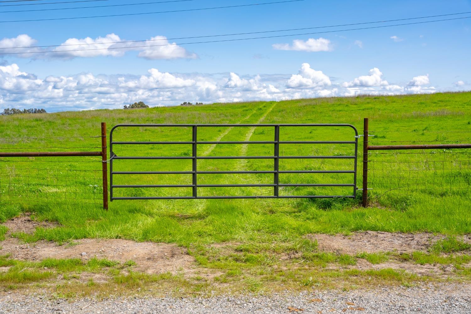 0 County Road 48 Willows, CA 95988 - Photo 7 of 53 a view of a field with sitting area