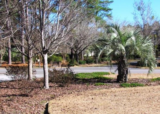 225 Deerwood Road Barnwell, SC 29812 - Photo 27 of 30