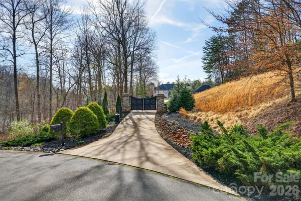 a view of a garden with plants and trees