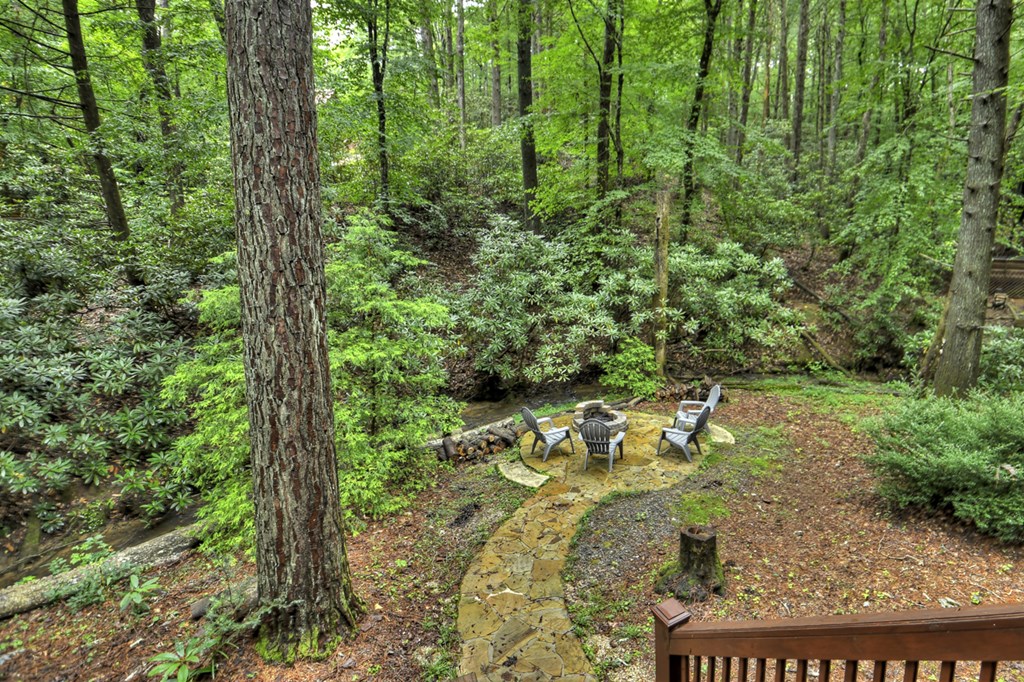 17 Chapman Lake Trail Blue Ridge, GA 30513 - Photo 2 of 35