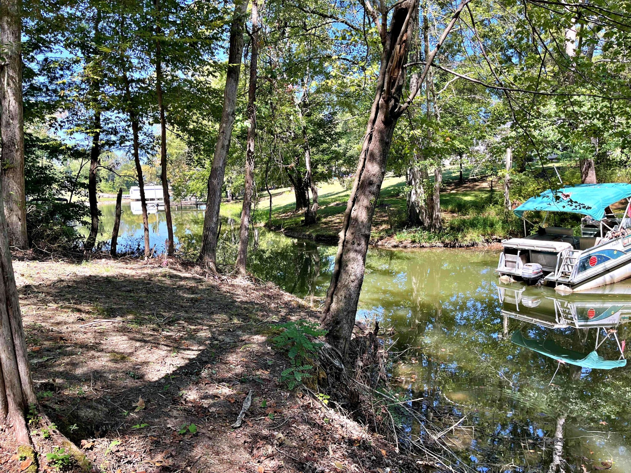 282 White Oak Road Decatur, TN 37322 - Photo 9 of 31