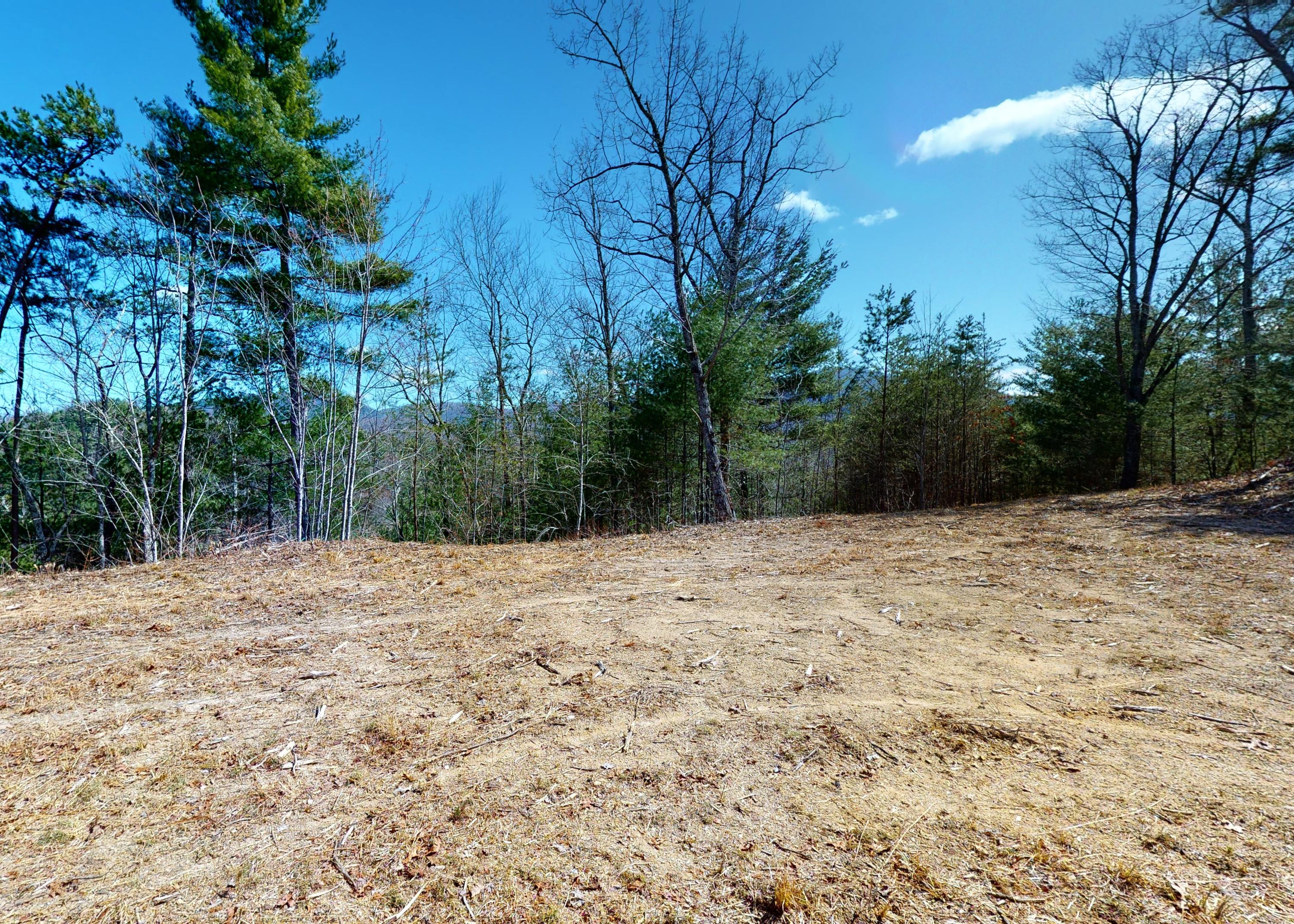 799 Big Hill Cemetery Road Del Rio, TN 37727 - Photo 11 of 25 11