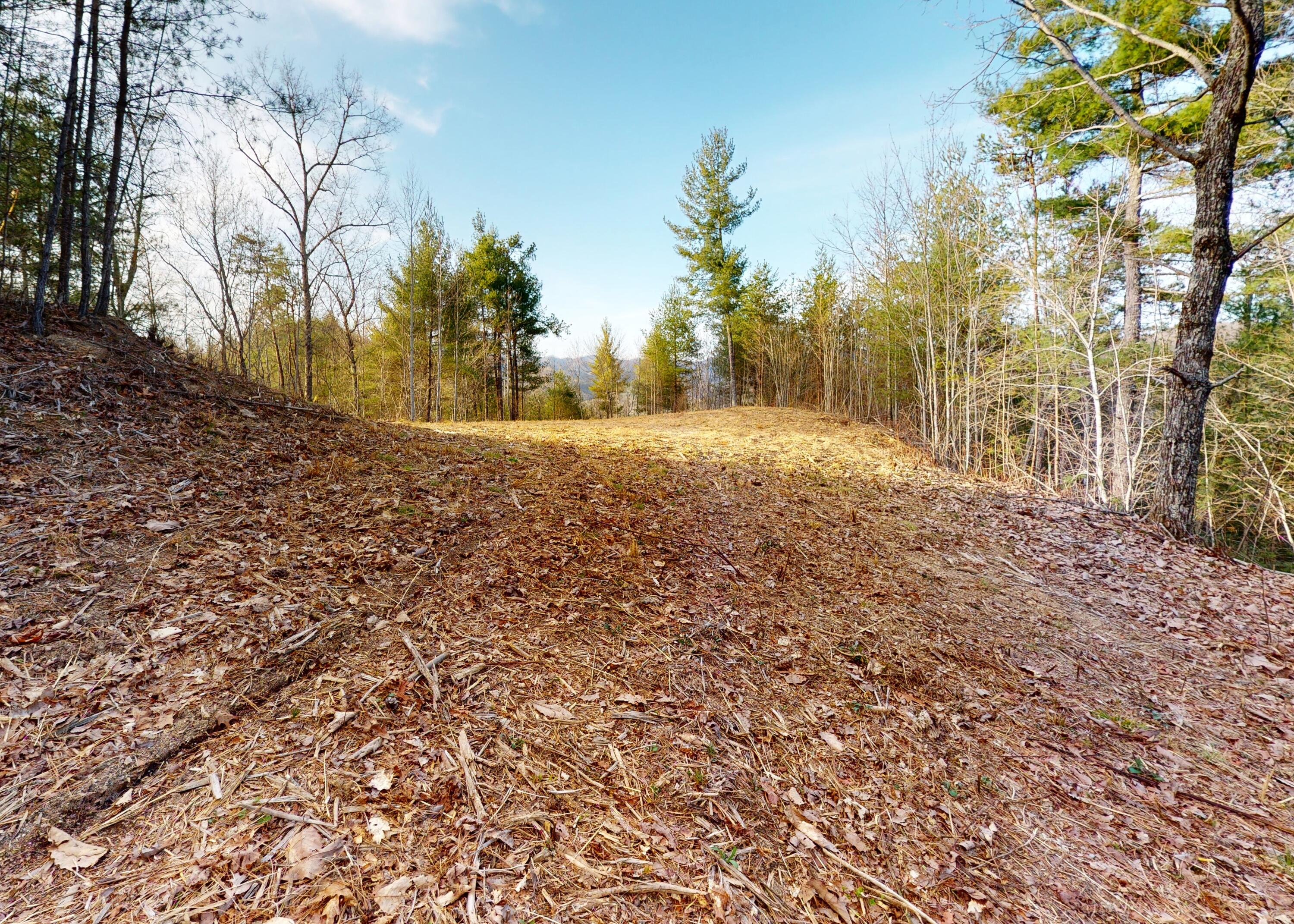 799 Big Hill Cemetery Road Del Rio, TN 37727 - Photo 14 of 25 14