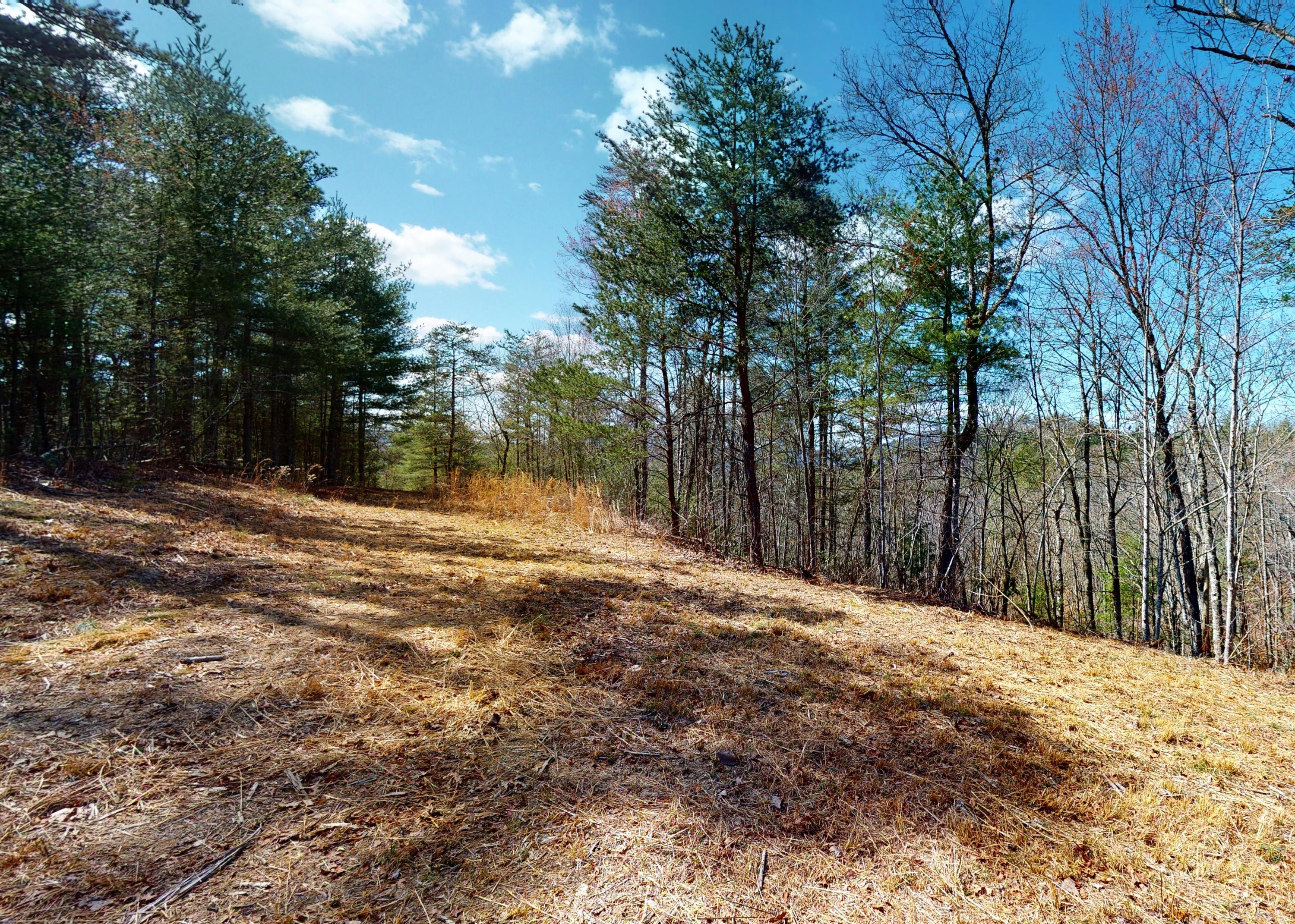 799 Big Hill Cemetery Road Del Rio, TN 37727 - Photo 15 of 25 15