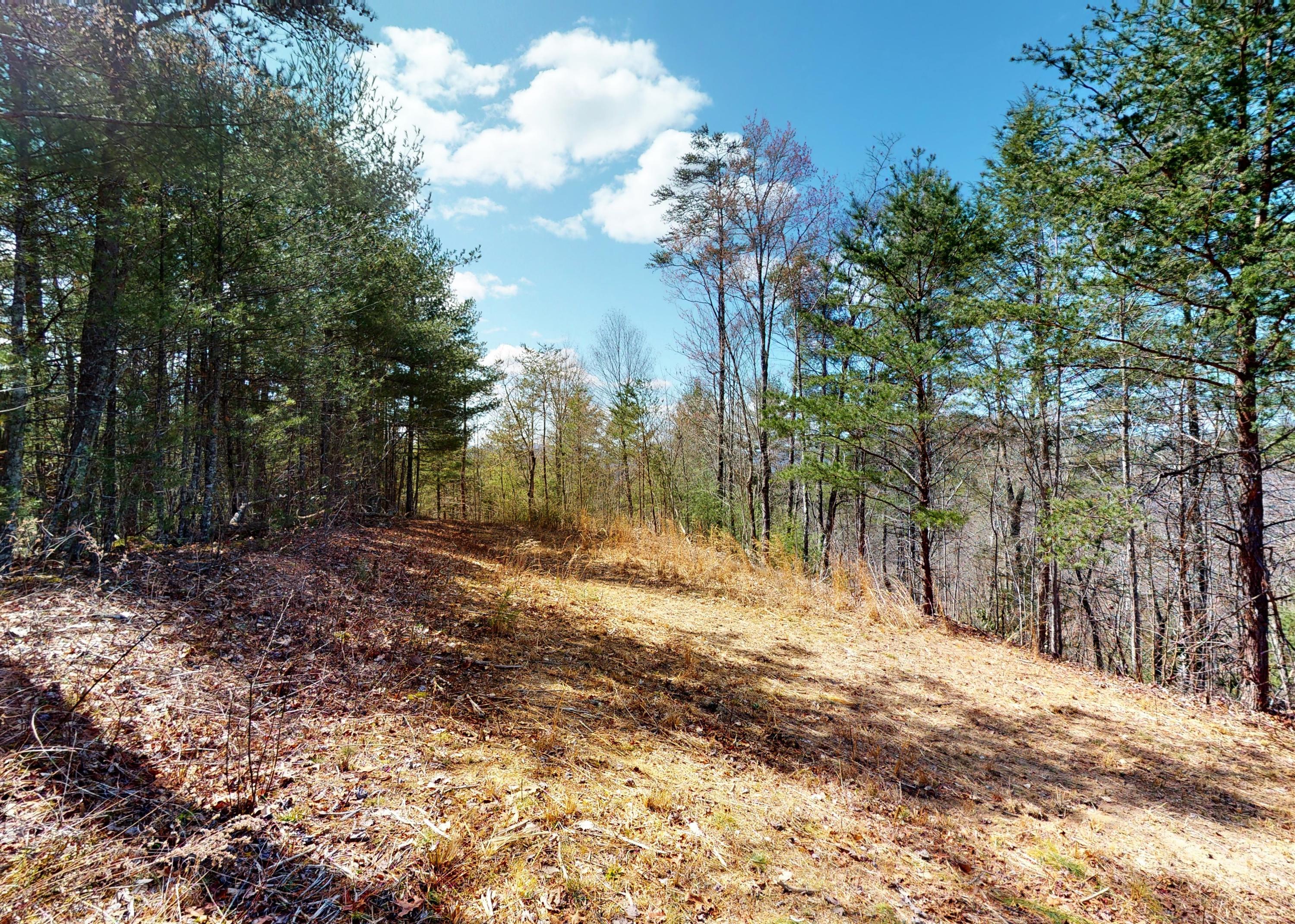 799 Big Hill Cemetery Road Del Rio, TN 37727 - Photo 16 of 25 16