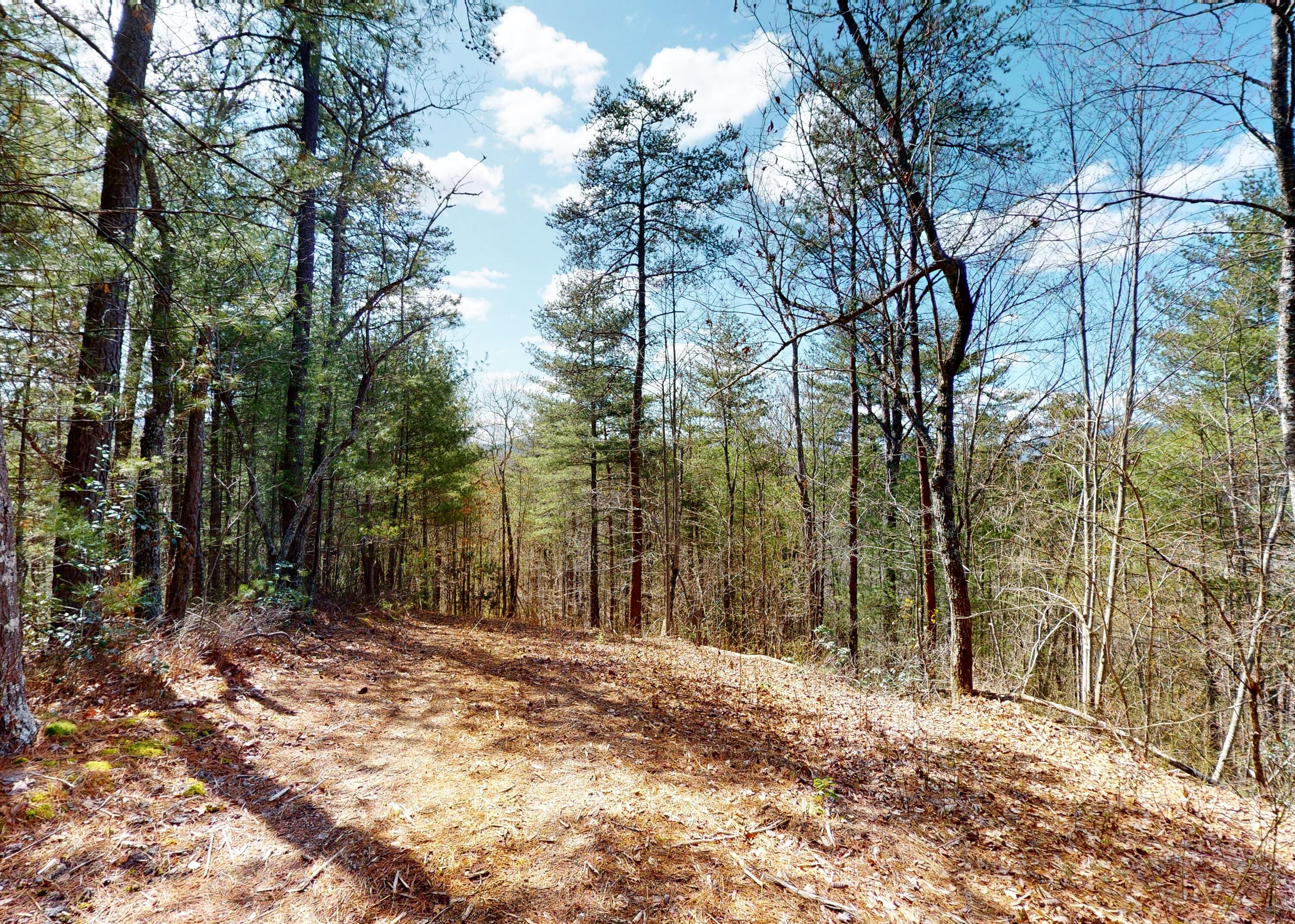 799 Big Hill Cemetery Road Del Rio, TN 37727 - Photo 17 of 25 17