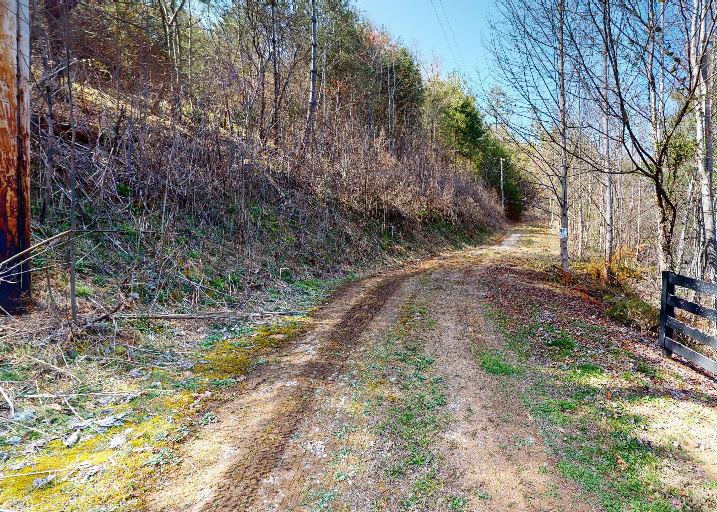 799 Big Hill Cemetery Road Del Rio, TN 37727 - Photo 19 of 25 19