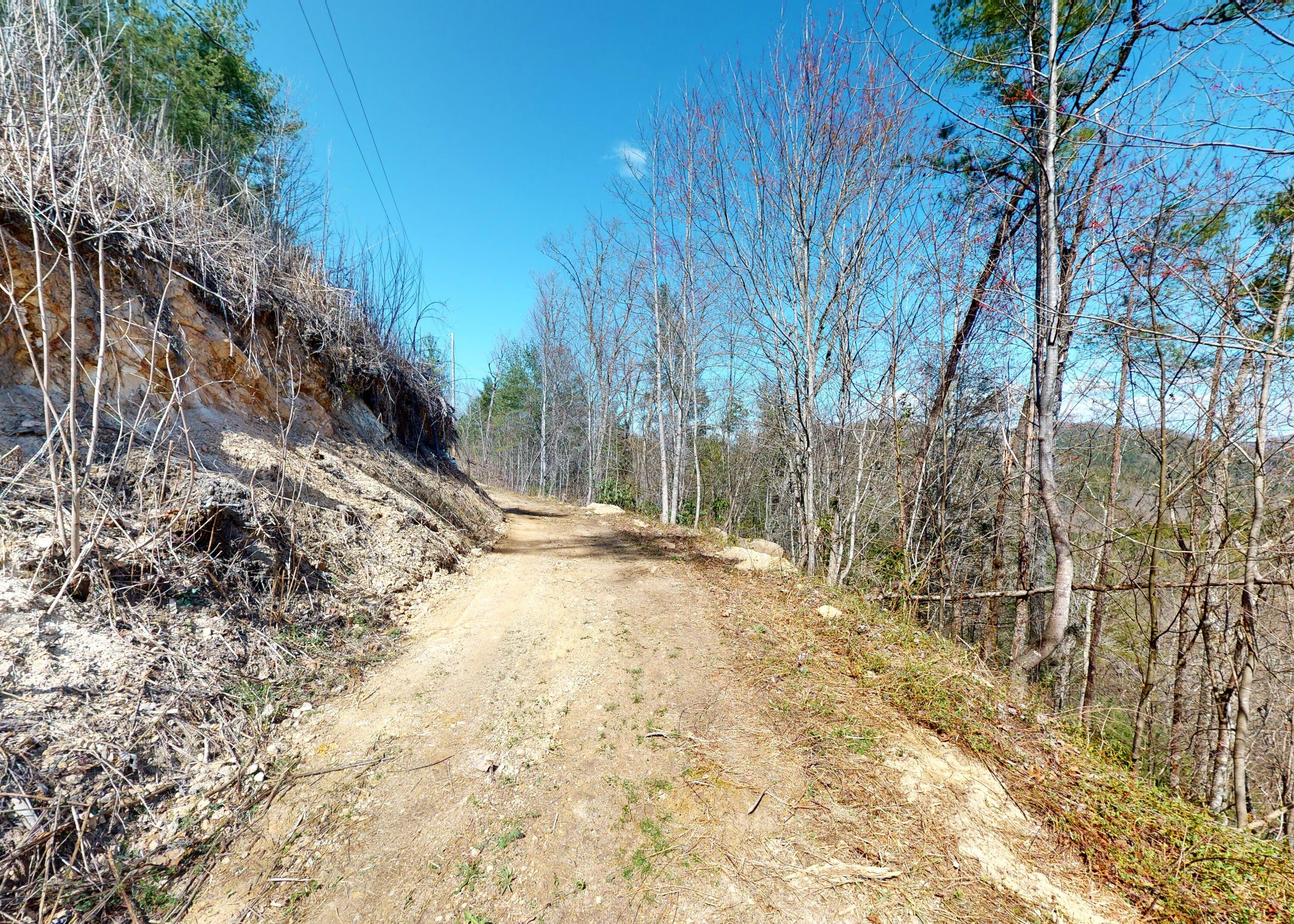 799 Big Hill Cemetery Road Del Rio, TN 37727 - Photo 20 of 25 20
