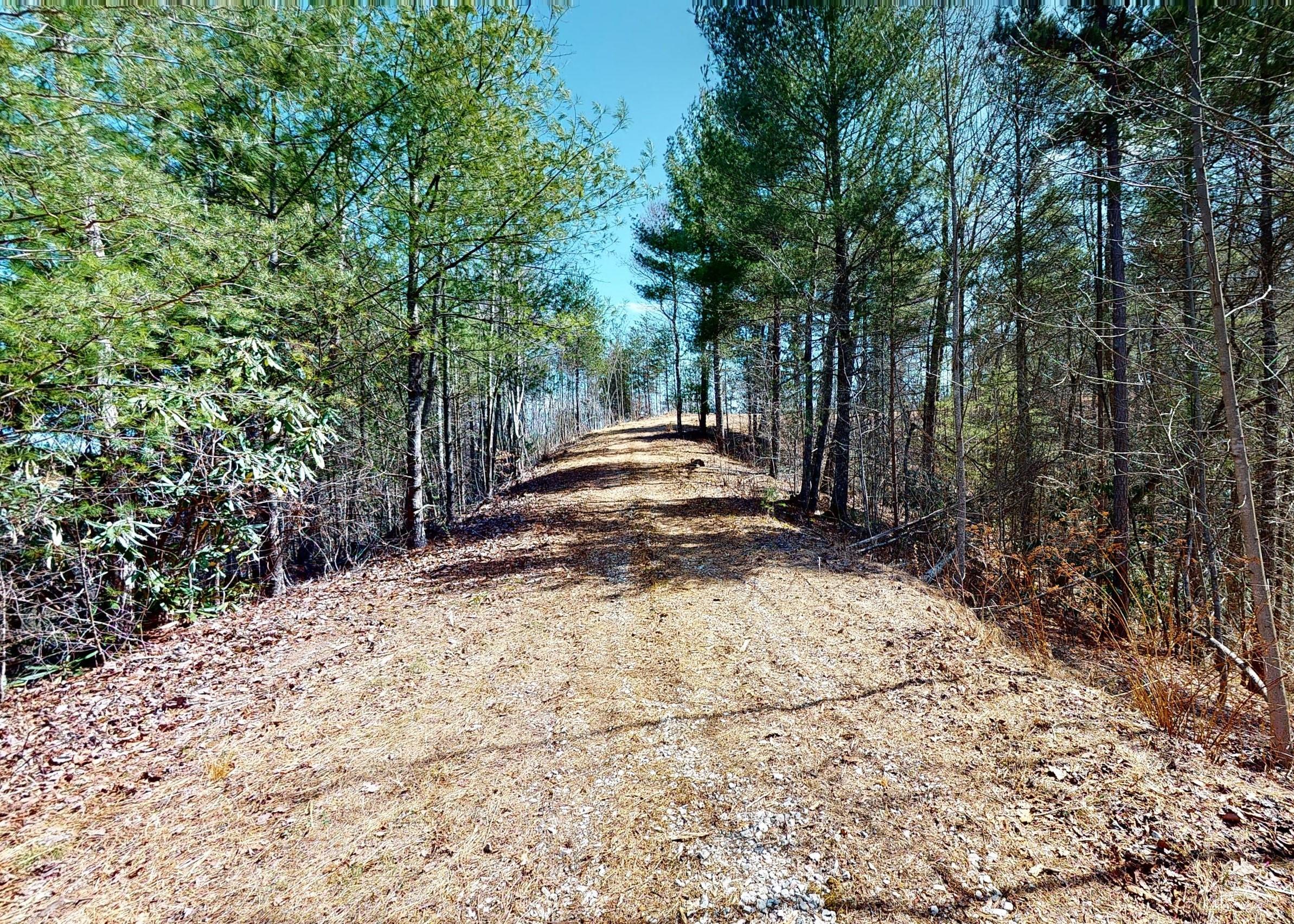799 Big Hill Cemetery Road Del Rio, TN 37727 - Photo 2 of 25 2