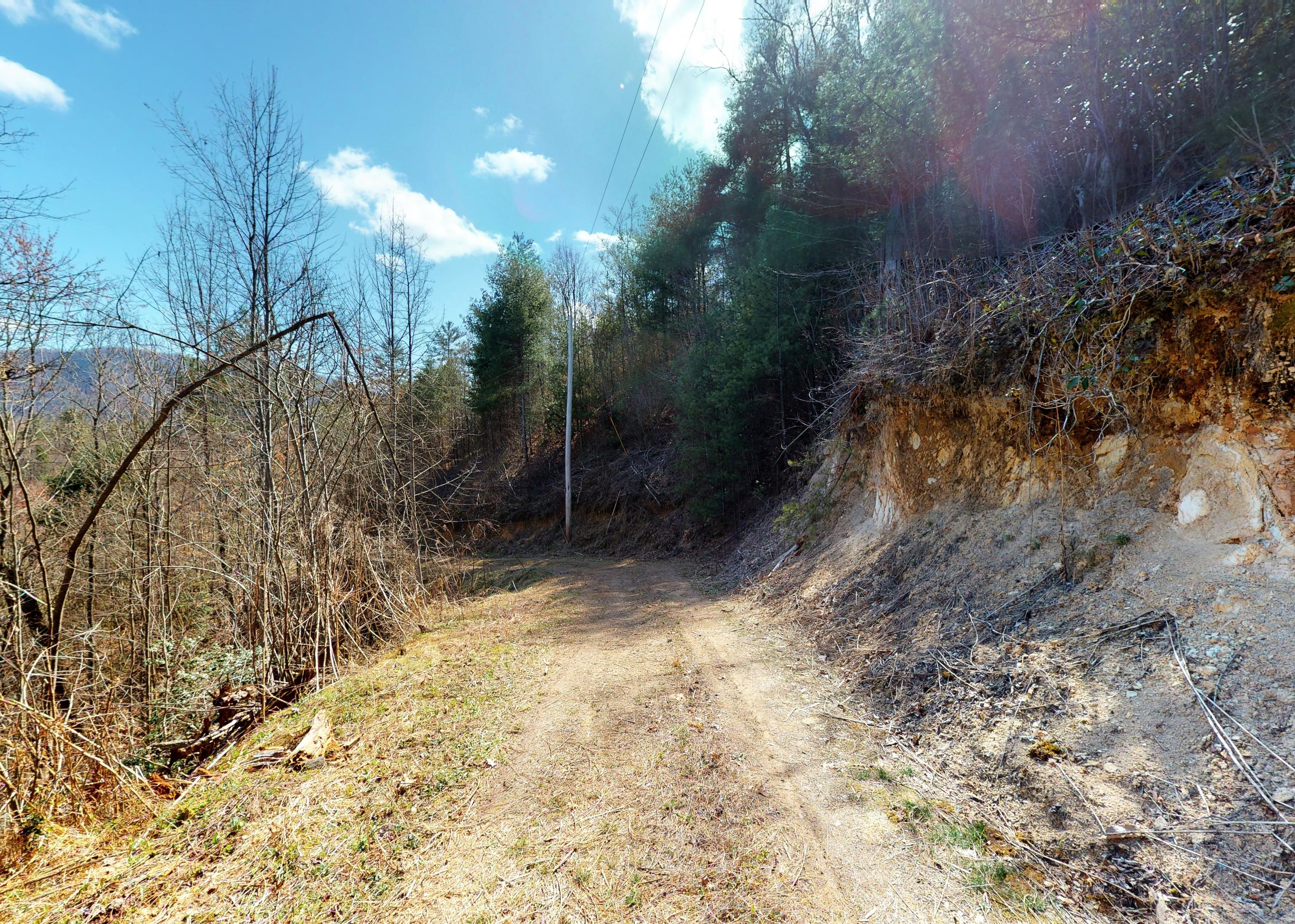 799 Big Hill Cemetery Road Del Rio, TN 37727 - Photo 21 of 25 21