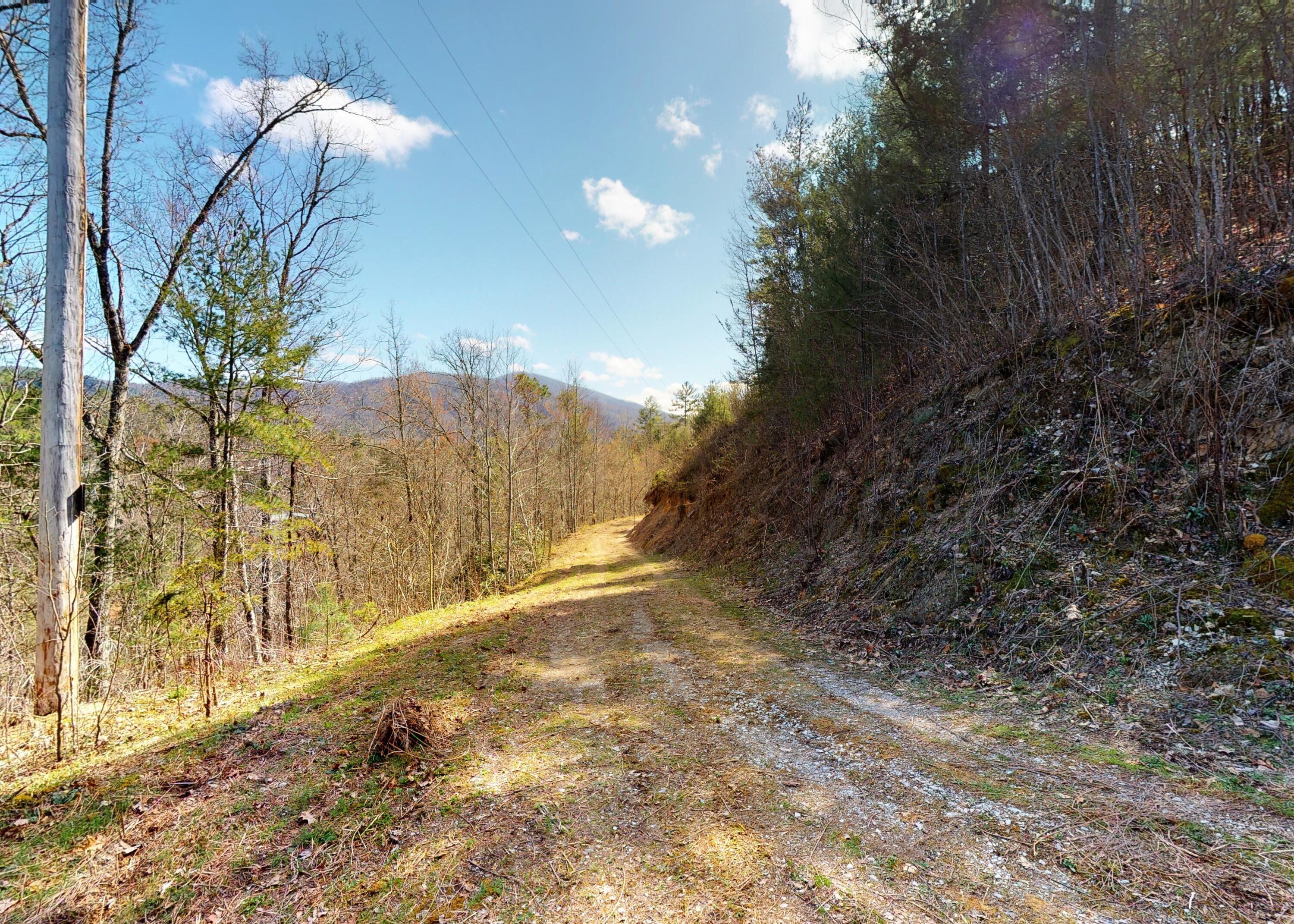 799 Big Hill Cemetery Road Del Rio, TN 37727 - Photo 22 of 25 22