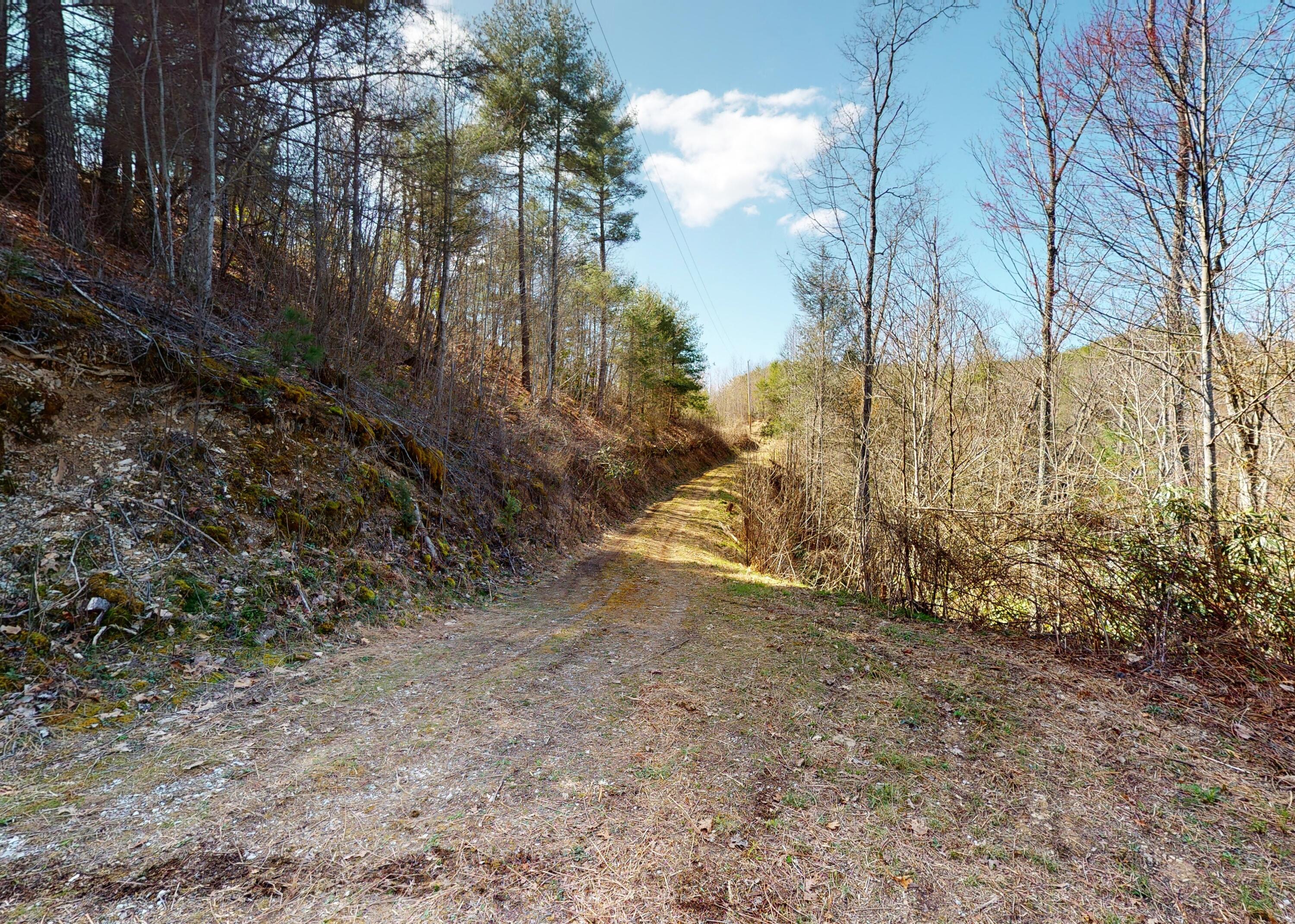 799 Big Hill Cemetery Road Del Rio, TN 37727 - Photo 23 of 25 23