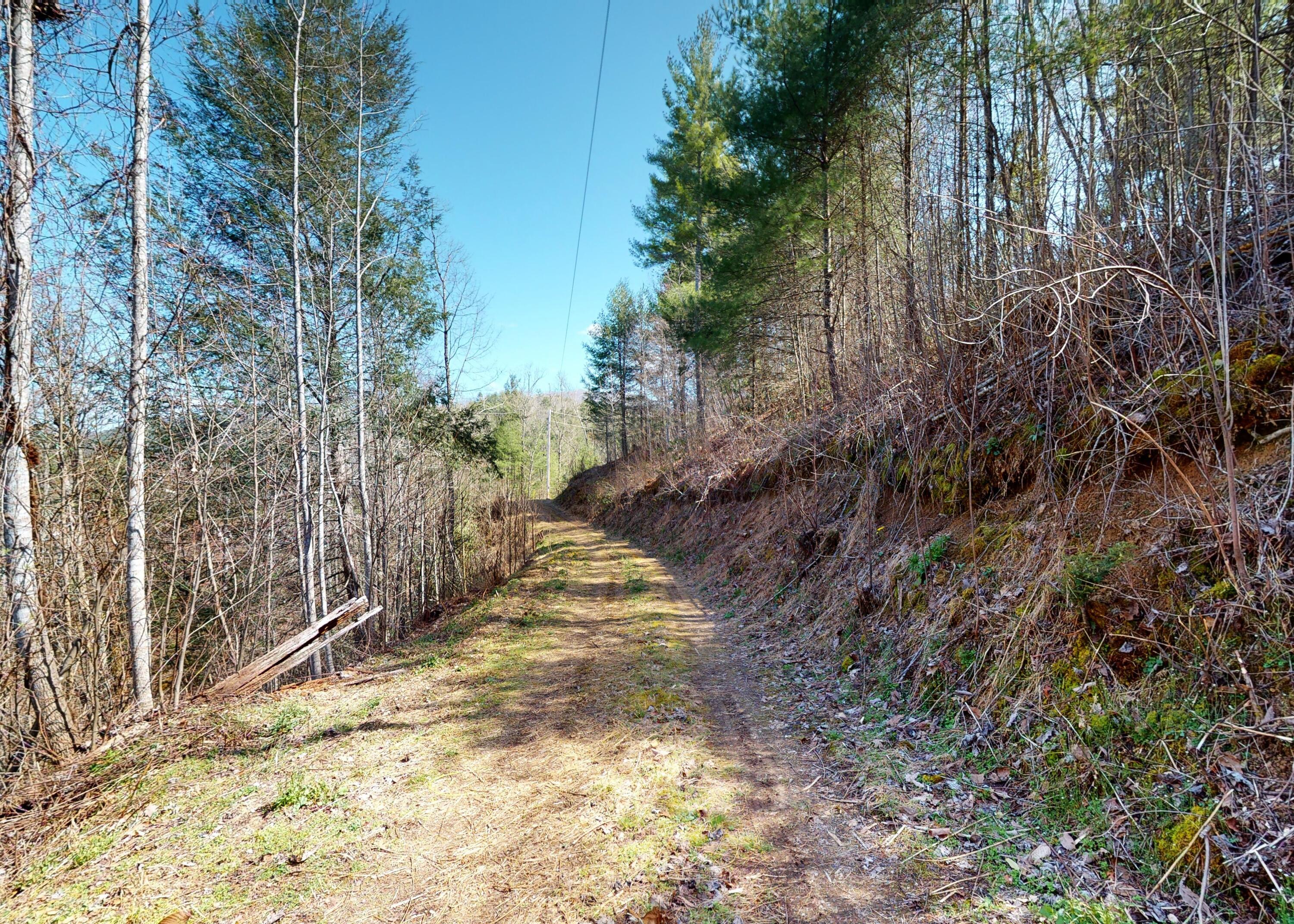 799 Big Hill Cemetery Road Del Rio, TN 37727 - Photo 24 of 25 24