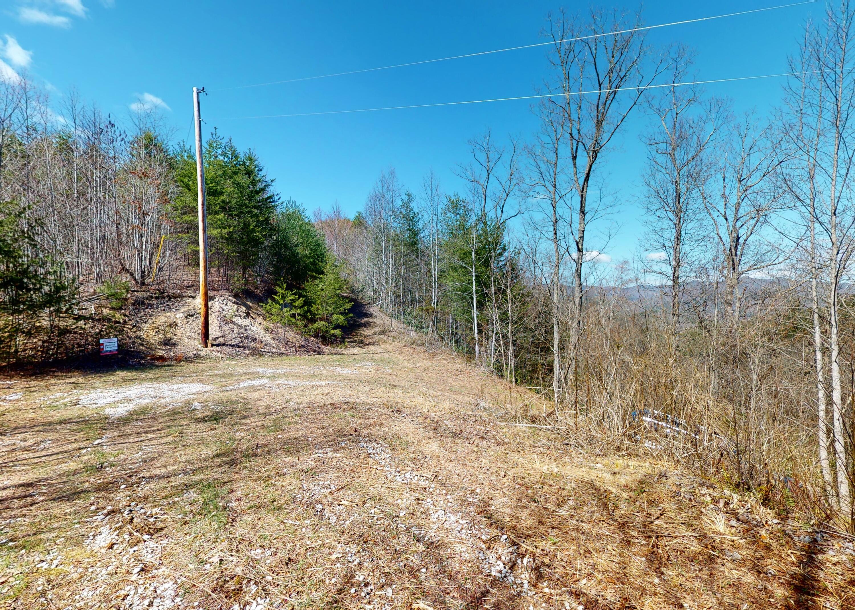 799 Big Hill Cemetery Road Del Rio, TN 37727 - Photo 3 of 25 3