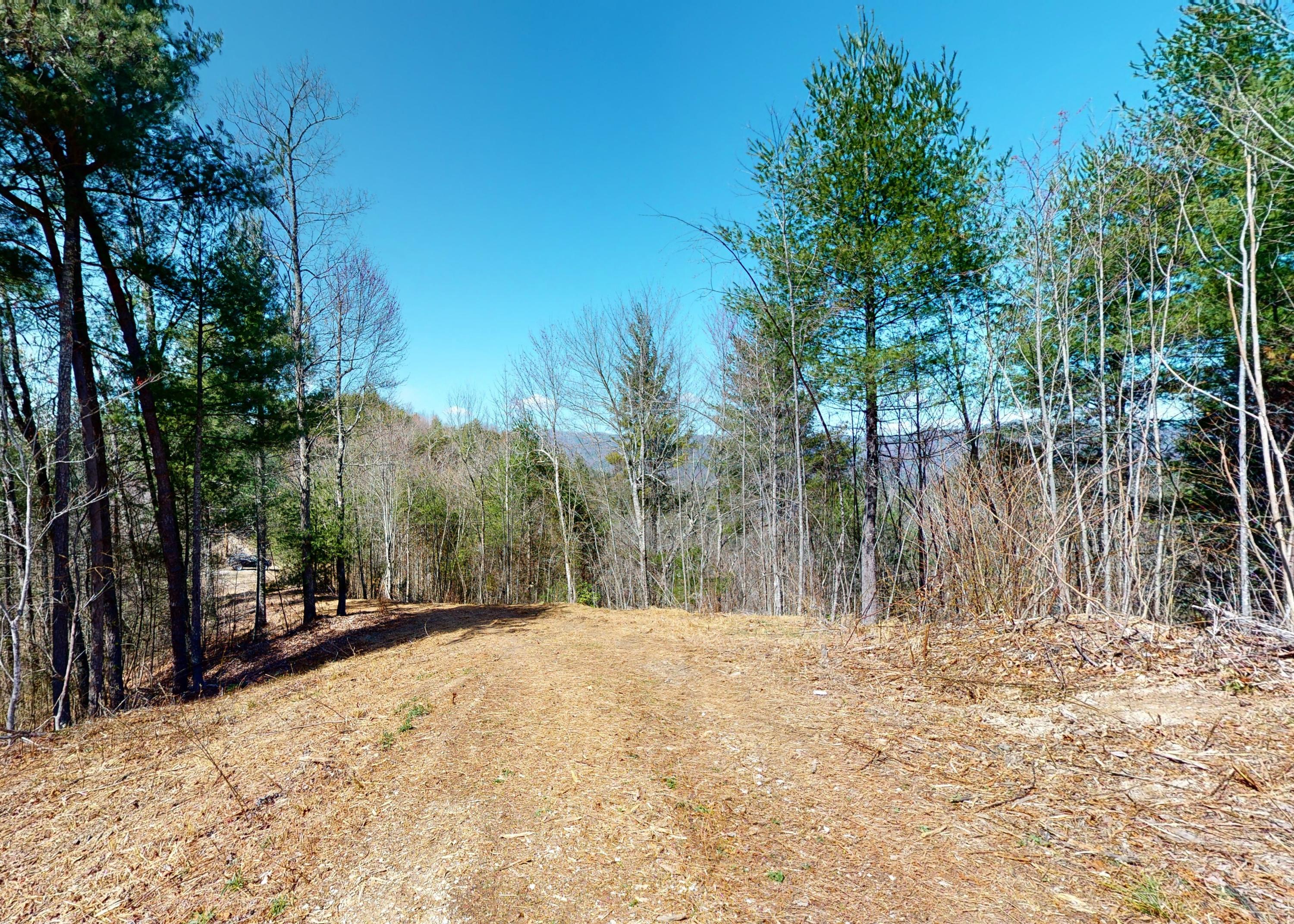 799 Big Hill Cemetery Road Del Rio, TN 37727 - Photo 4 of 25 4
