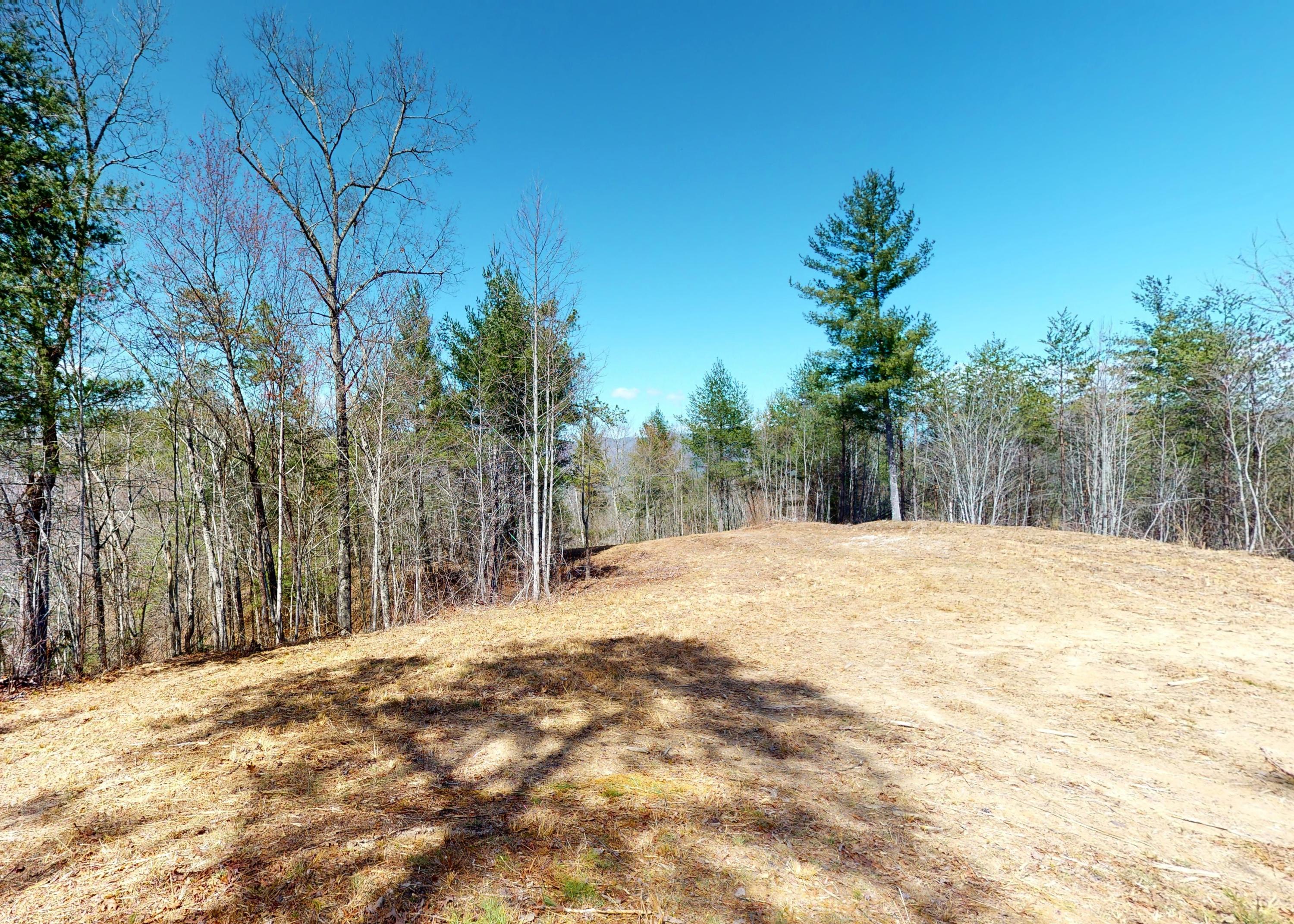 799 Big Hill Cemetery Road Del Rio, TN 37727 - Photo 5 of 25 5