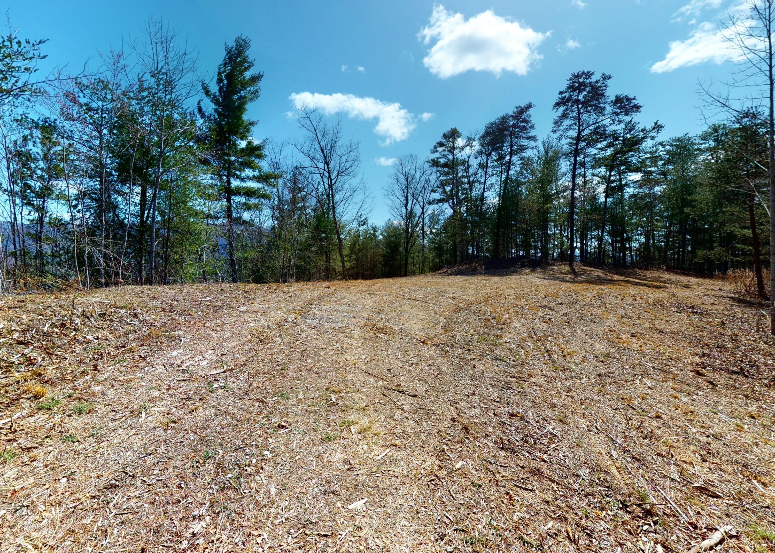 799 Big Hill Cemetery Road Del Rio, TN 37727 - Photo 6 of 25 6