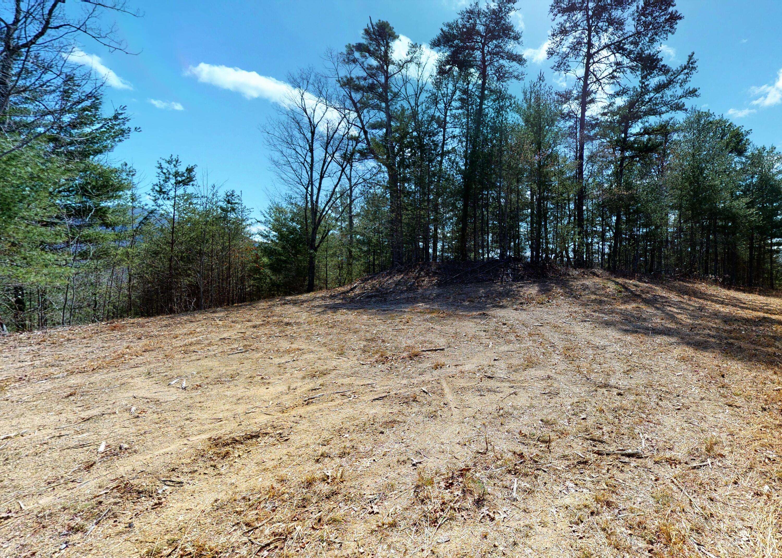 799 Big Hill Cemetery Road Del Rio, TN 37727 - Photo 7 of 25 7