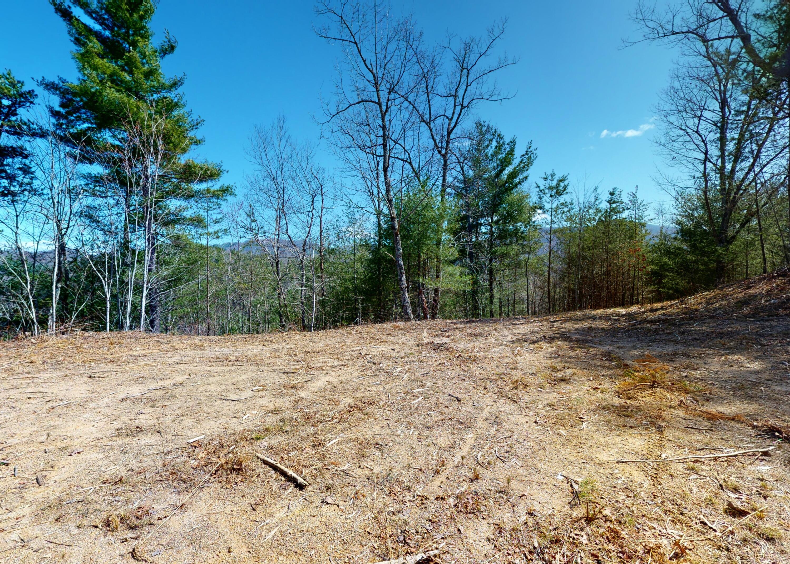 799 Big Hill Cemetery Road Del Rio, TN 37727 - Photo 8 of 25 8