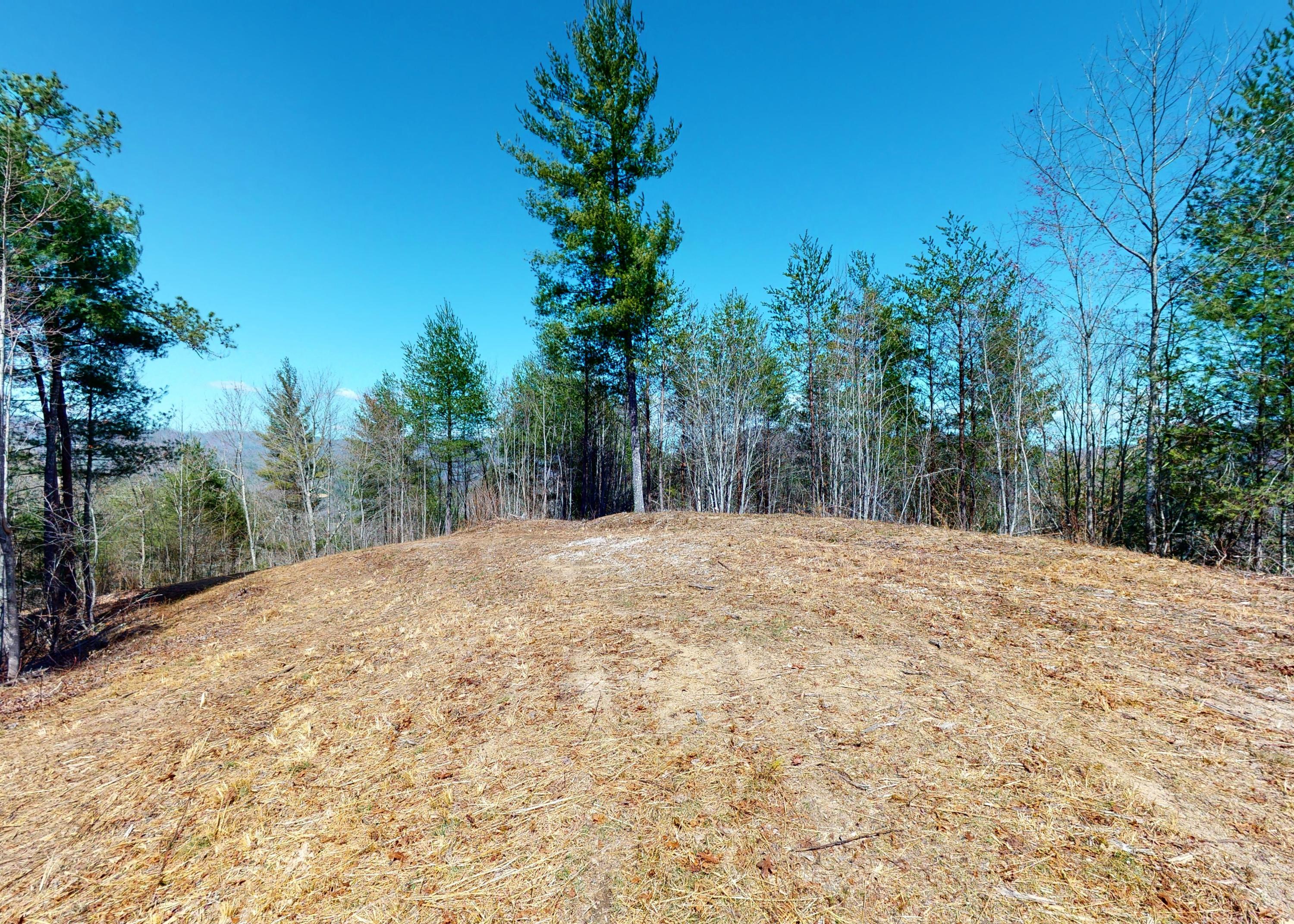799 Big Hill Cemetery Road Del Rio, TN 37727 - Photo 10 of 25 10