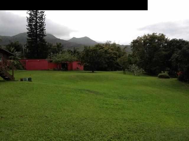 180 Ulaino Road Hana, HI 96713 - Photo 14 of 26 a view of outdoor space and mountain view