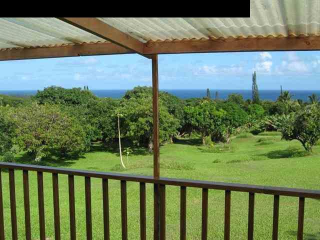 180 Ulaino Road Hana, HI 96713 - Photo 16 of 26 a view of a backyard