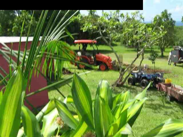 180 Ulaino Road Hana, HI 96713 - Photo 19 of 26 a backyard of a house with table and chairs potted plants