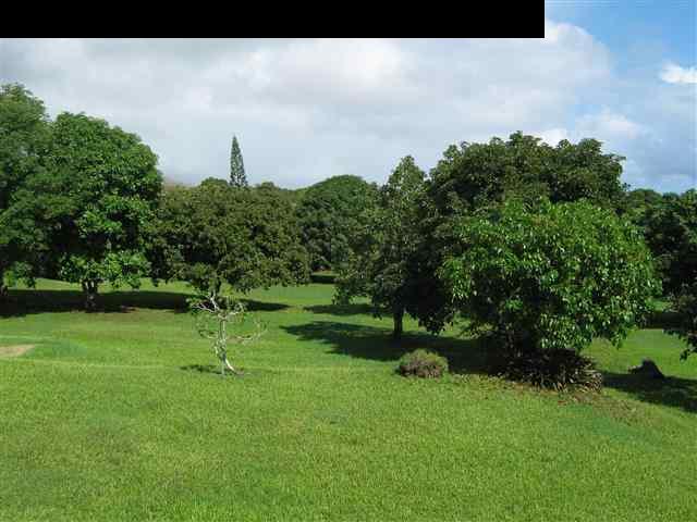 180 Ulaino Road Hana, HI 96713 - Photo 10 of 26 a view of a park