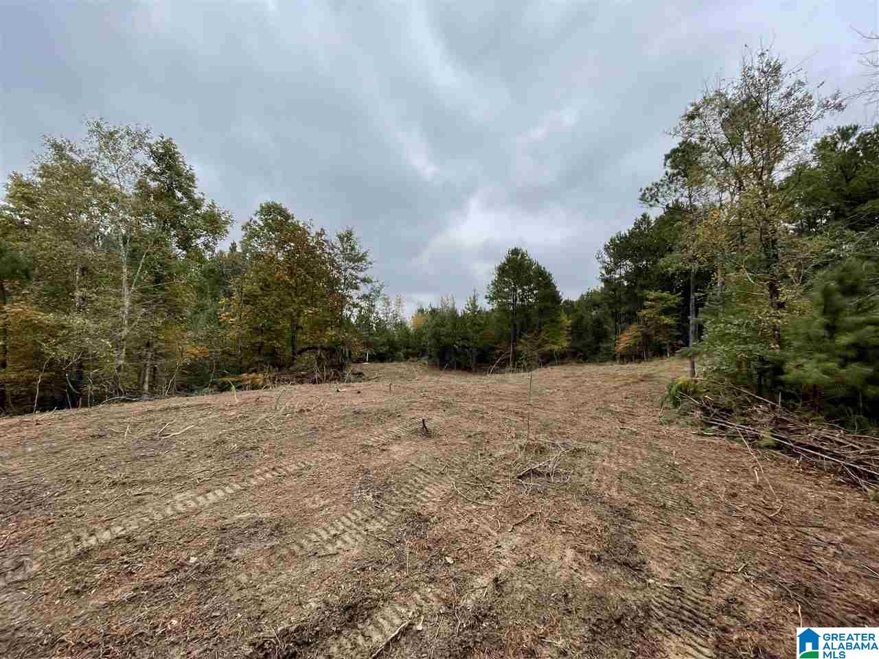 Deaver Walker R Deaver Walker R Deaver Walker Road, Unit 1 Trafford, AL 35172 - Photo 11 of 32 Gallery Image 11