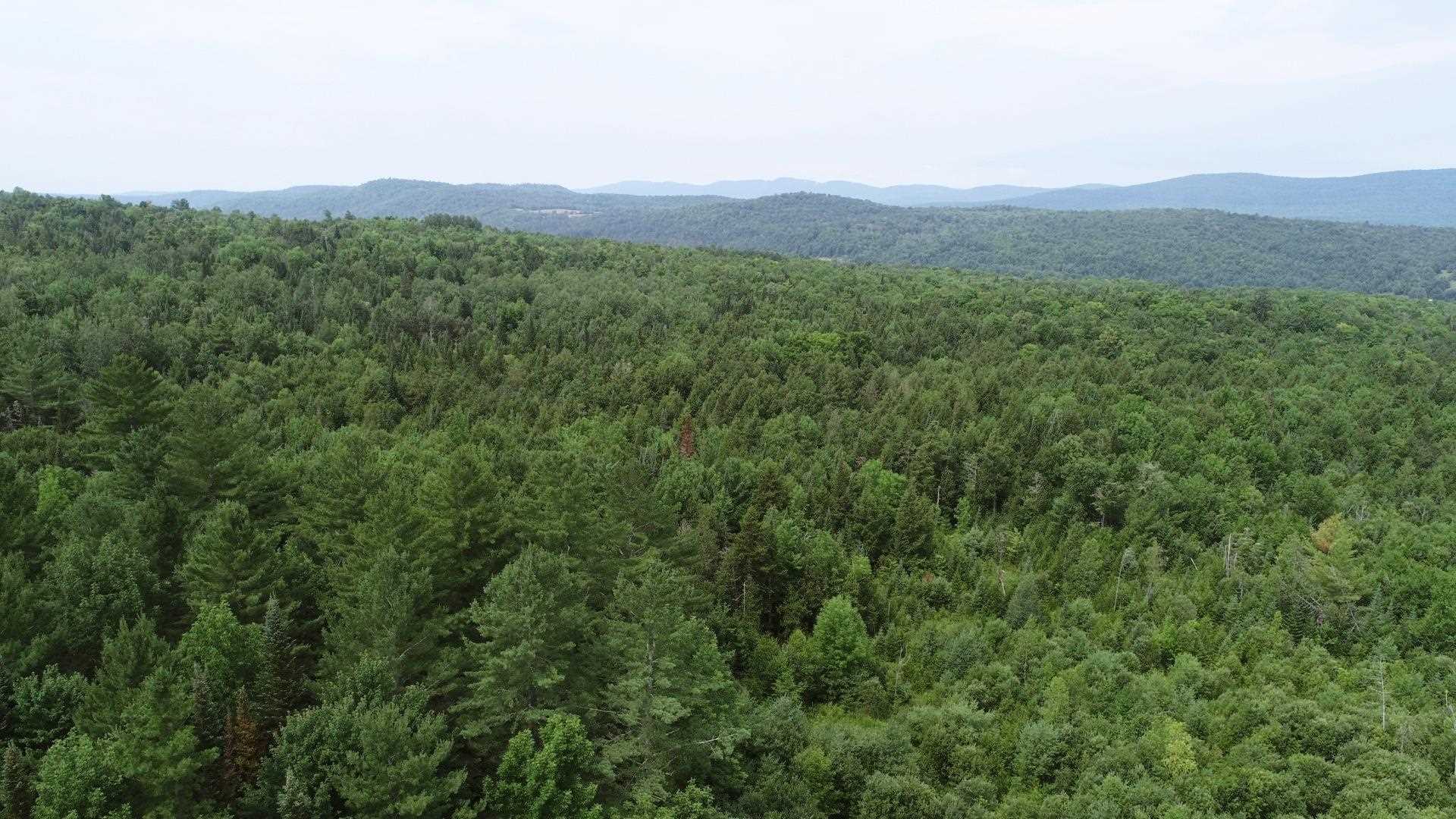 1369 West Glover Road Irasburg, VT 05845 - Photo 25 of 40