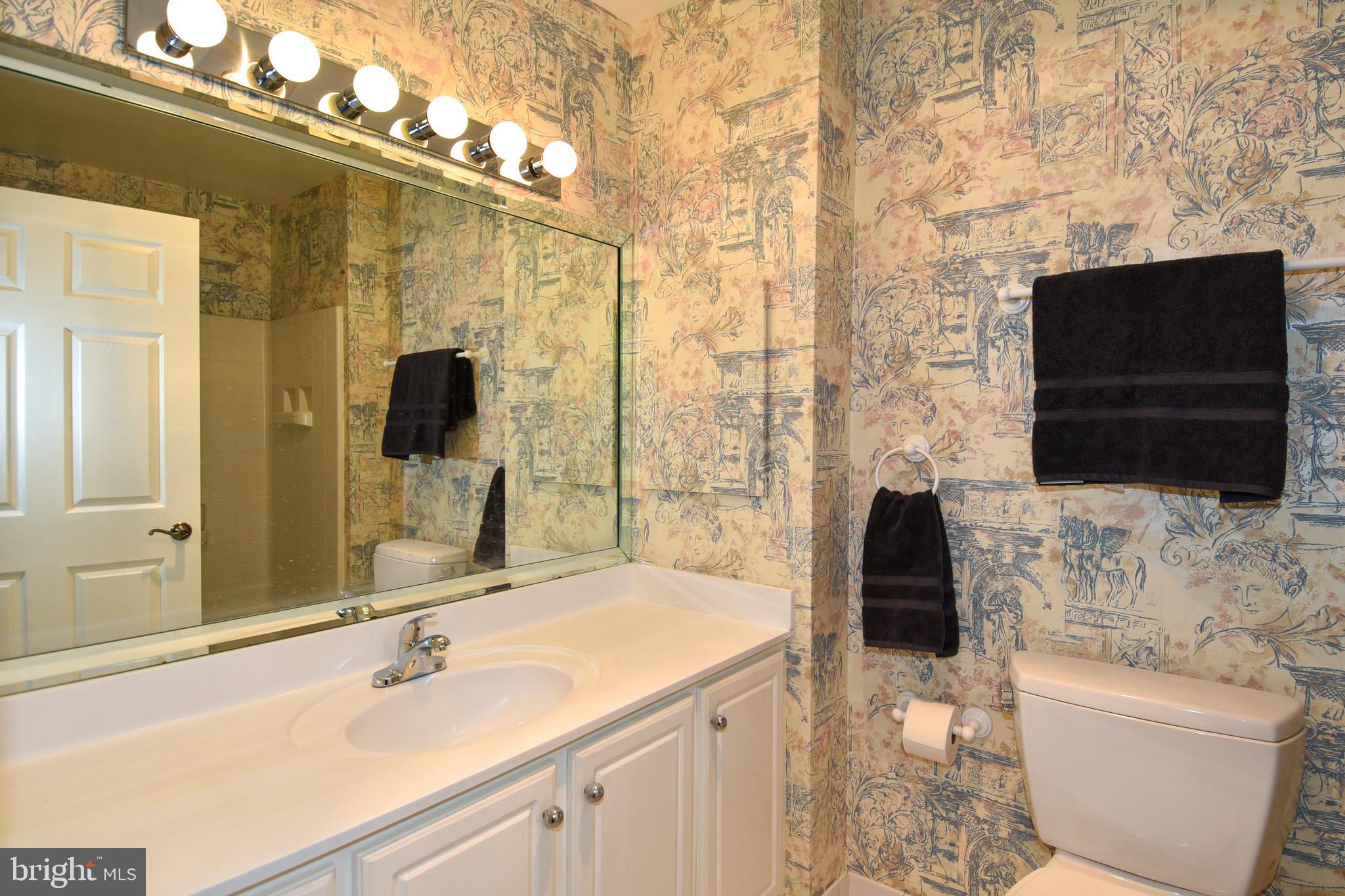 14801 Pennfield Circle, Unit 102 Silver Spring, MD 20906 - Photo 38 of 56 Hall Bath