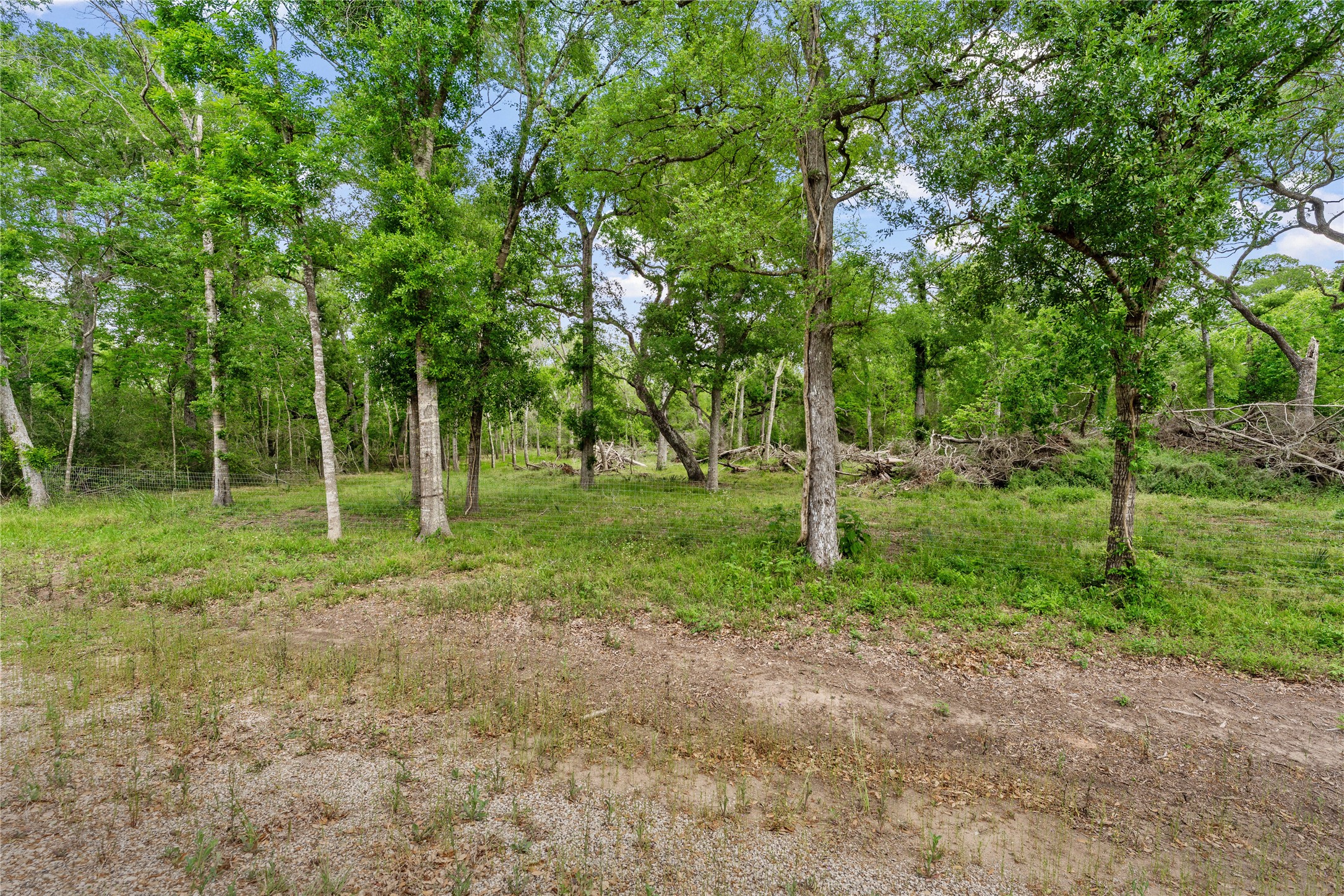 0 King's Oak Drive Damon, TX 77430 - Photo 5 of 29