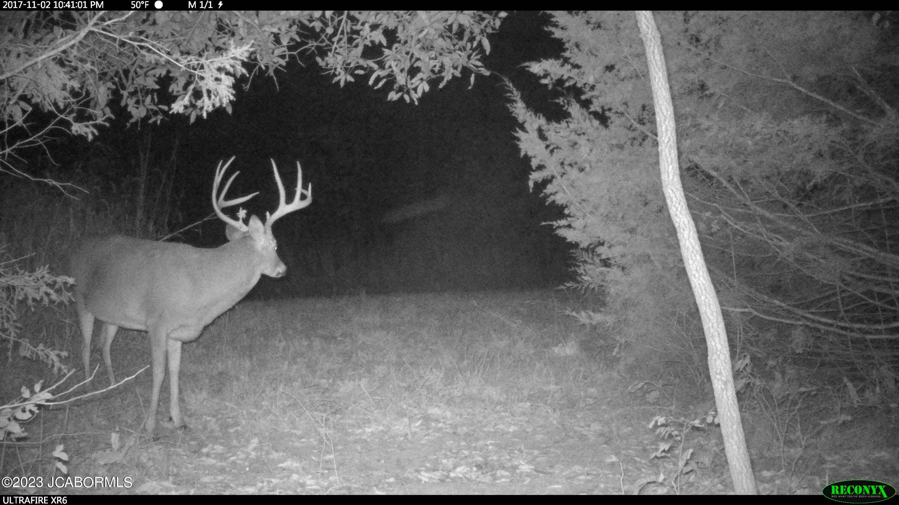 Tbd Big Lick Road Boonville, MO 65233 - Photo 22 of 59
