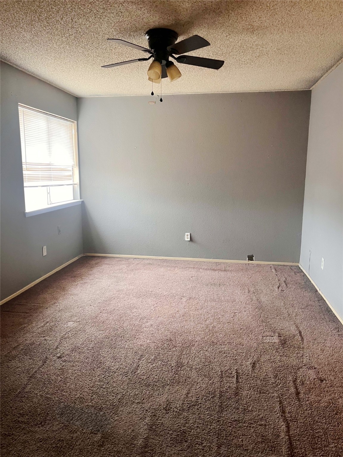 12973 Wirevine Lane Houston, TX 77072 - Photo 9 of 13 Primary Bedroom