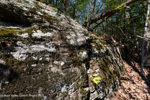 $350,000 | Tbd Tbd Mossy Trail, Saugerties, NY 12477