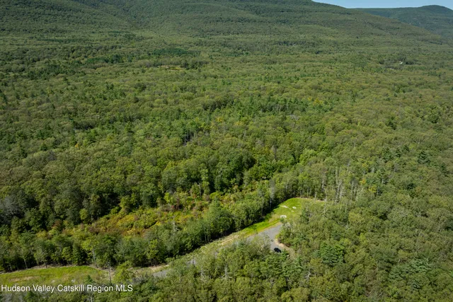 a view of a field of grass and trees