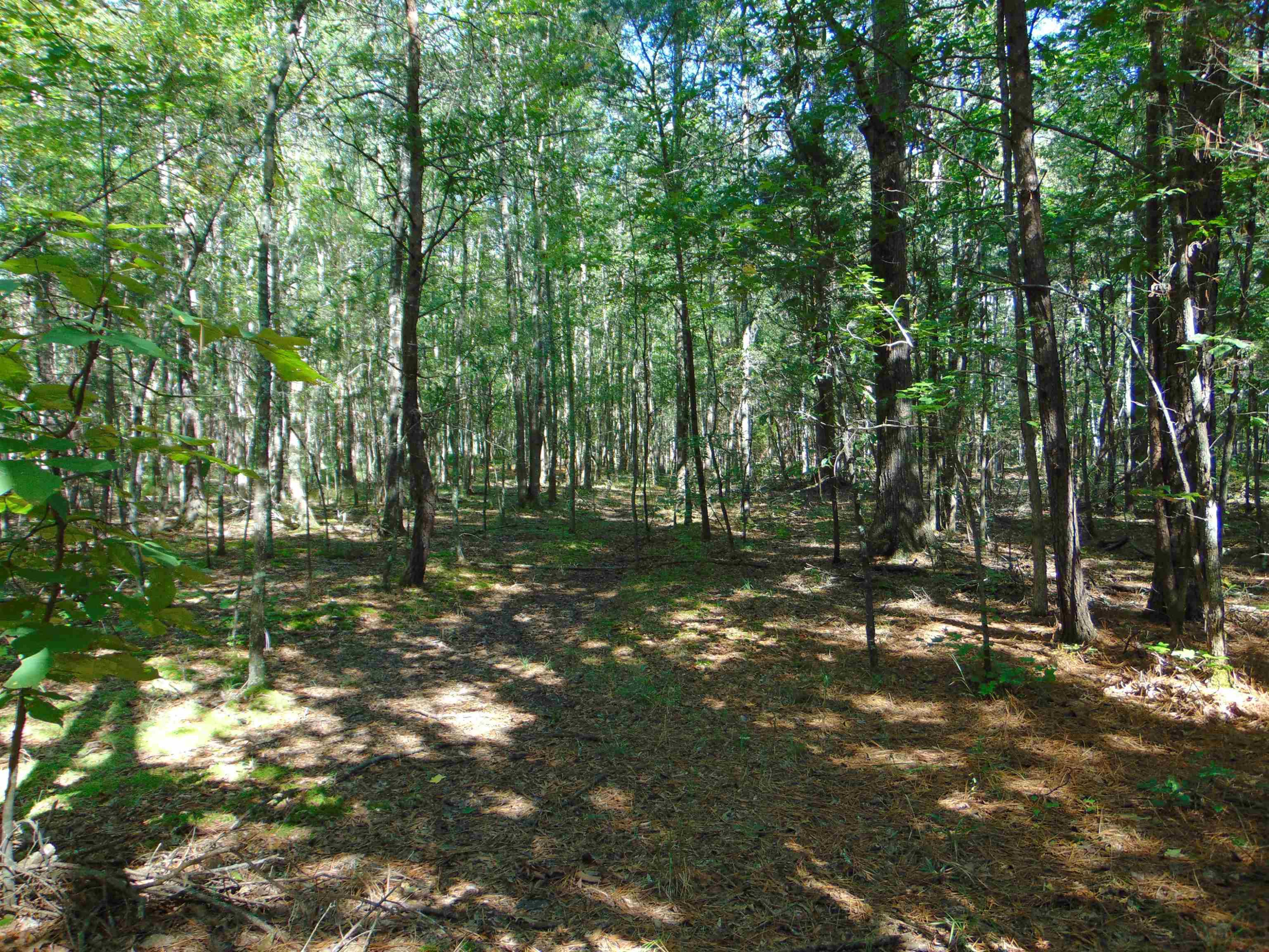 Noel Tuck Road Oxford, NC 27565 - Photo 9 of 34 Photo 9