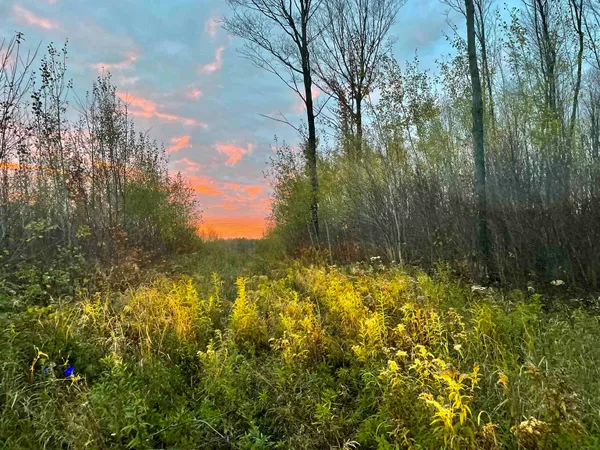 $1,650,000 | On Musser Drive, Phillips, WI 54555