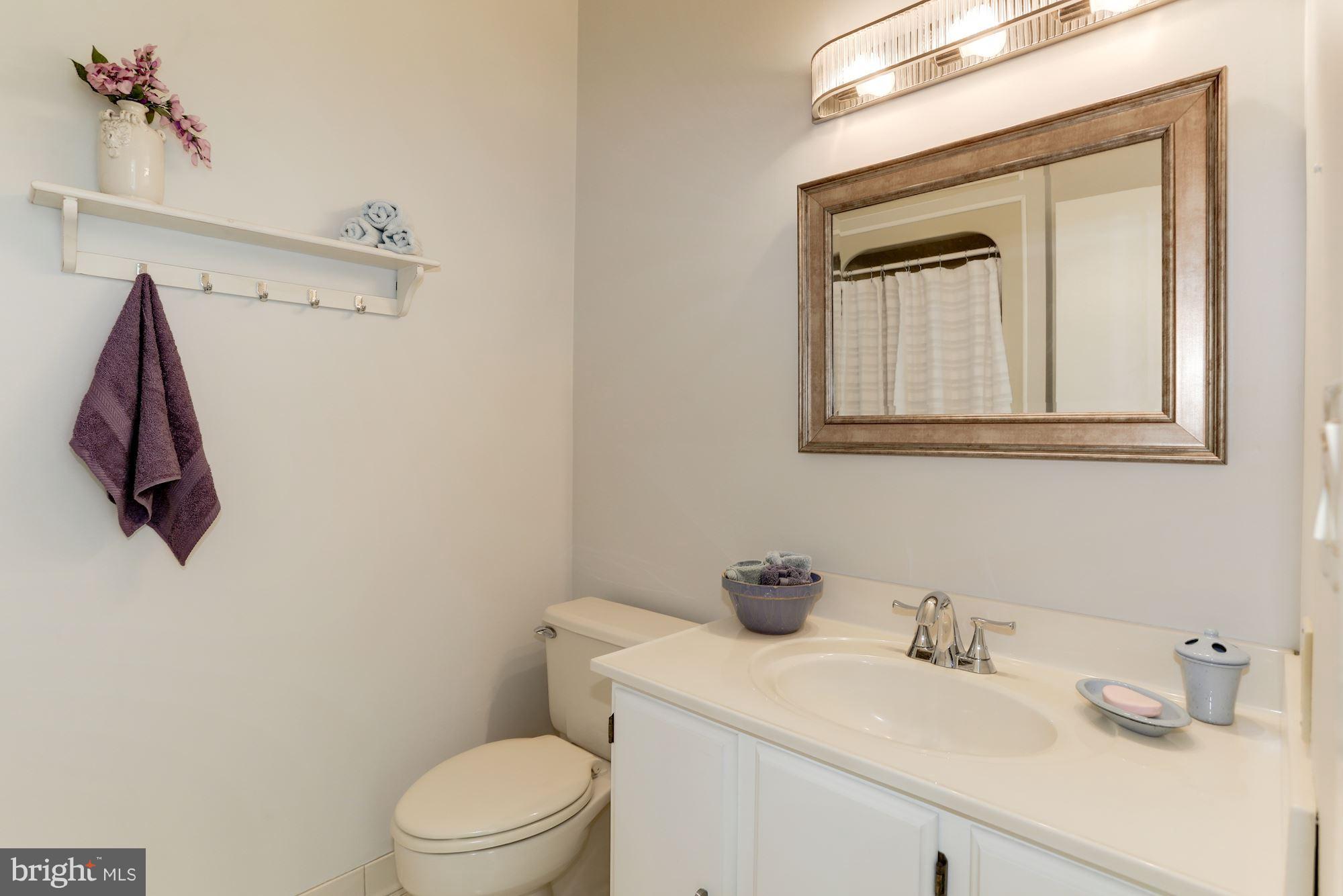 1582 Rossback Road Davidsonville, MD 21035 - Photo 23 of 30 LOWER LEVEL: En Suite Bath w/ Shower
