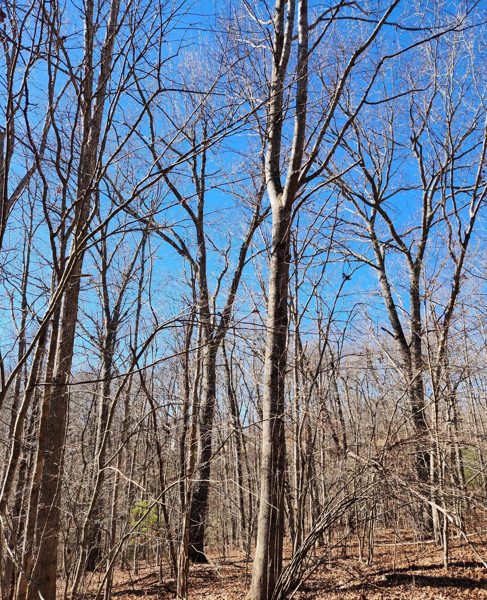 20 Devon Loop, Unit 20 Crossville, TN 38558 - Photo 2 of 10 20240206_110758