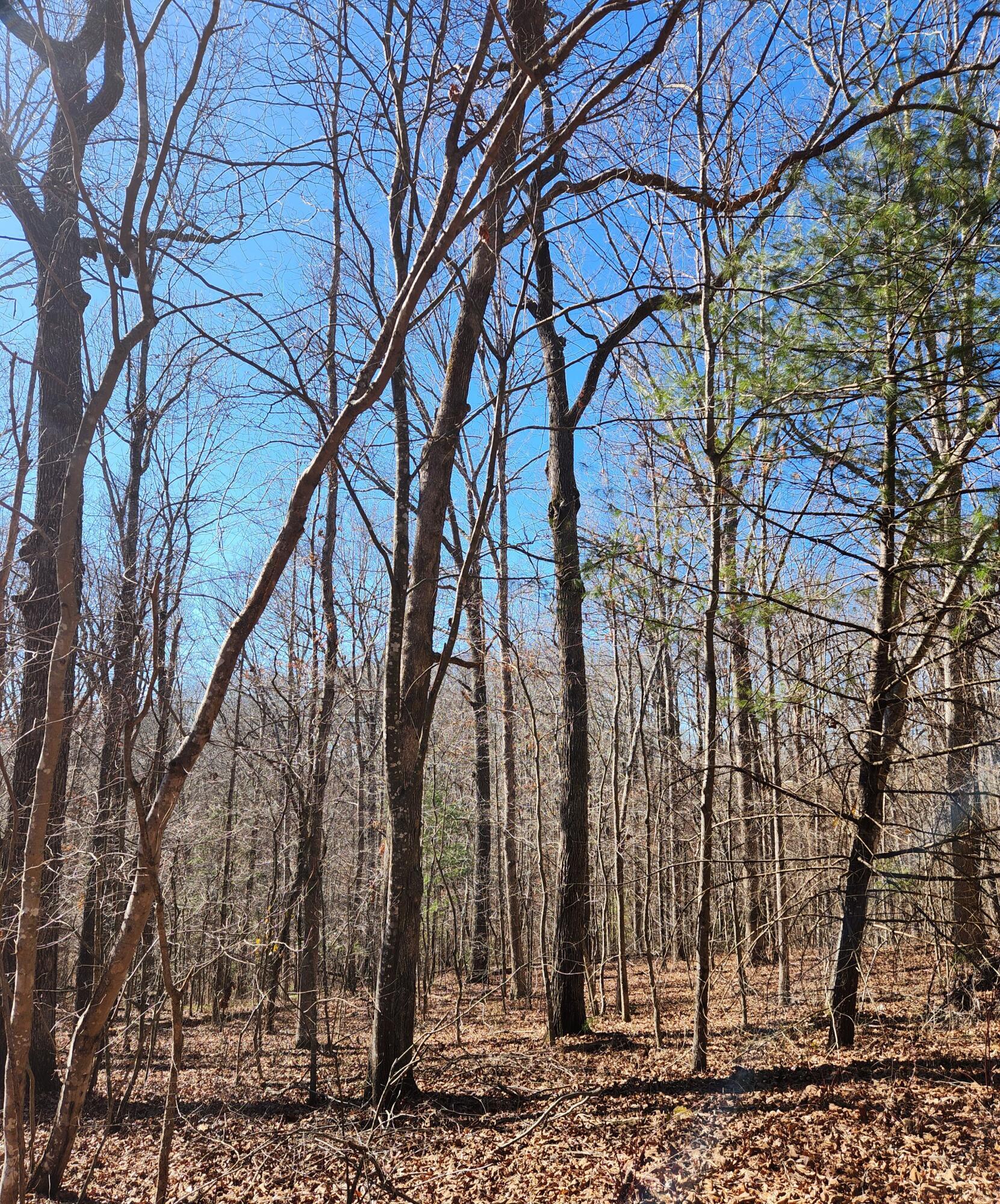 20 Devon Loop, Unit 20 Crossville, TN 38558 - Photo 4 of 10 20240206_110717