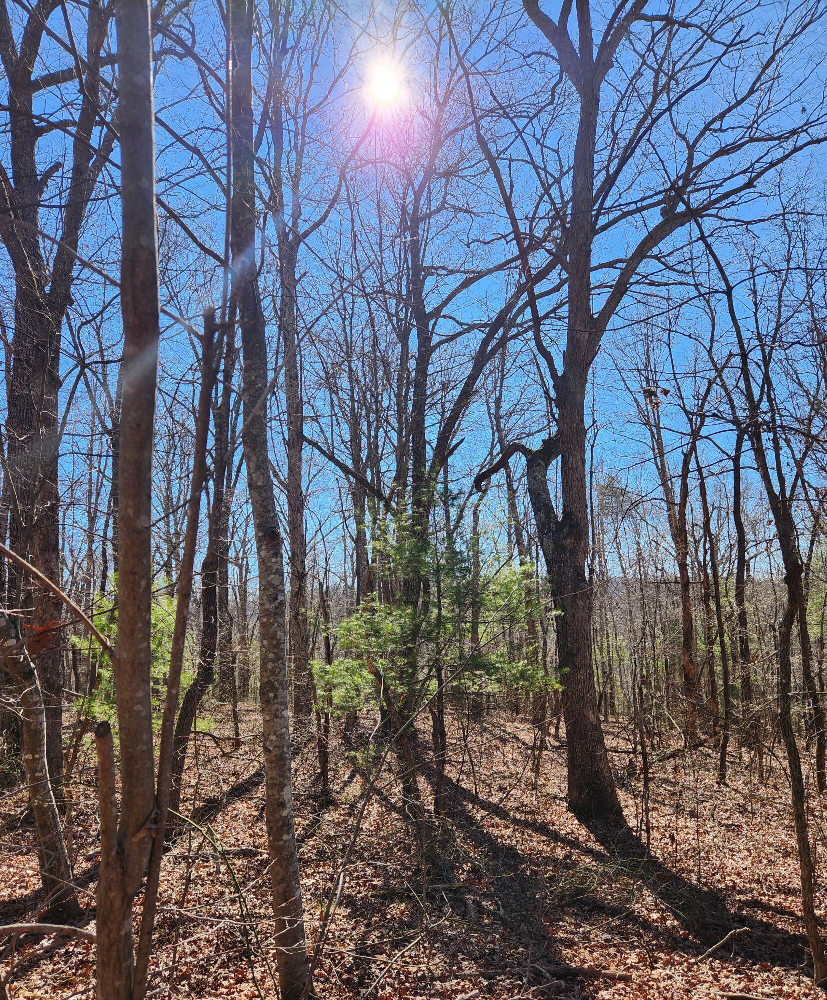 20 Devon Loop, Unit 20 Crossville, TN 38558 - Photo 5 of 10 20240206_110653