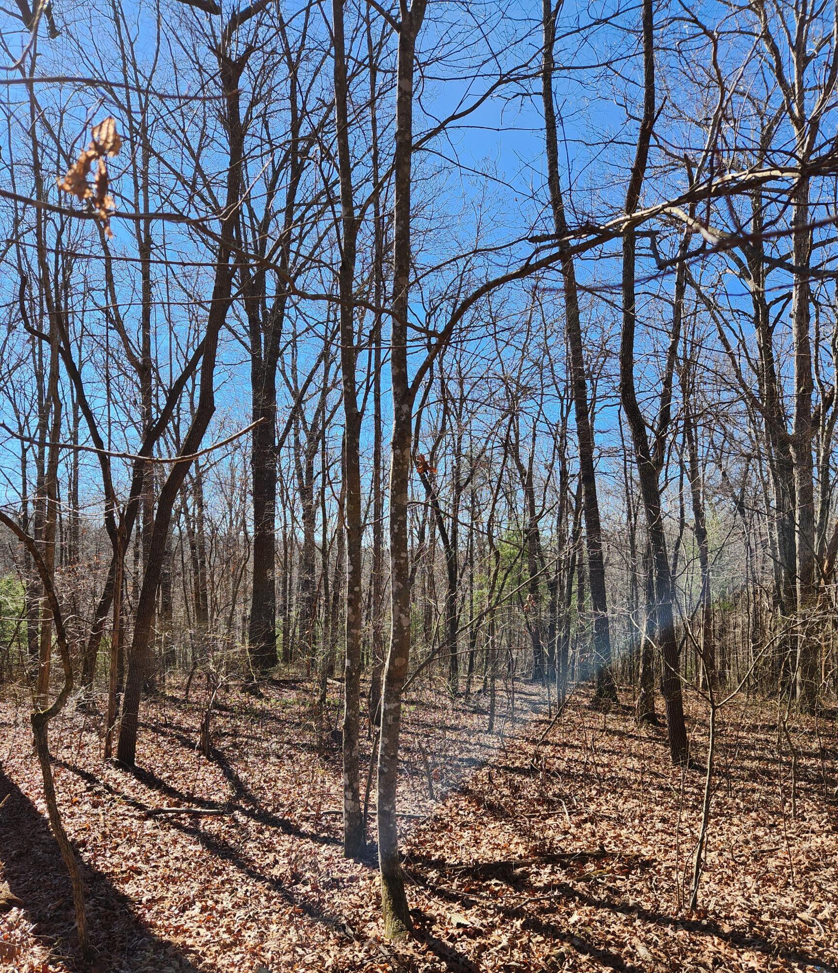 20 Devon Loop, Unit 20 Crossville, TN 38558 - Photo 6 of 10 20240206_104906